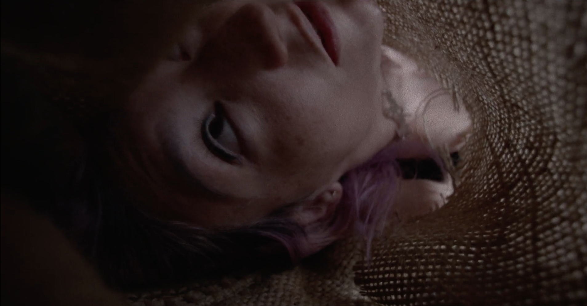 Screen Shot 2016-04-30 at 10.29.26 AM.png