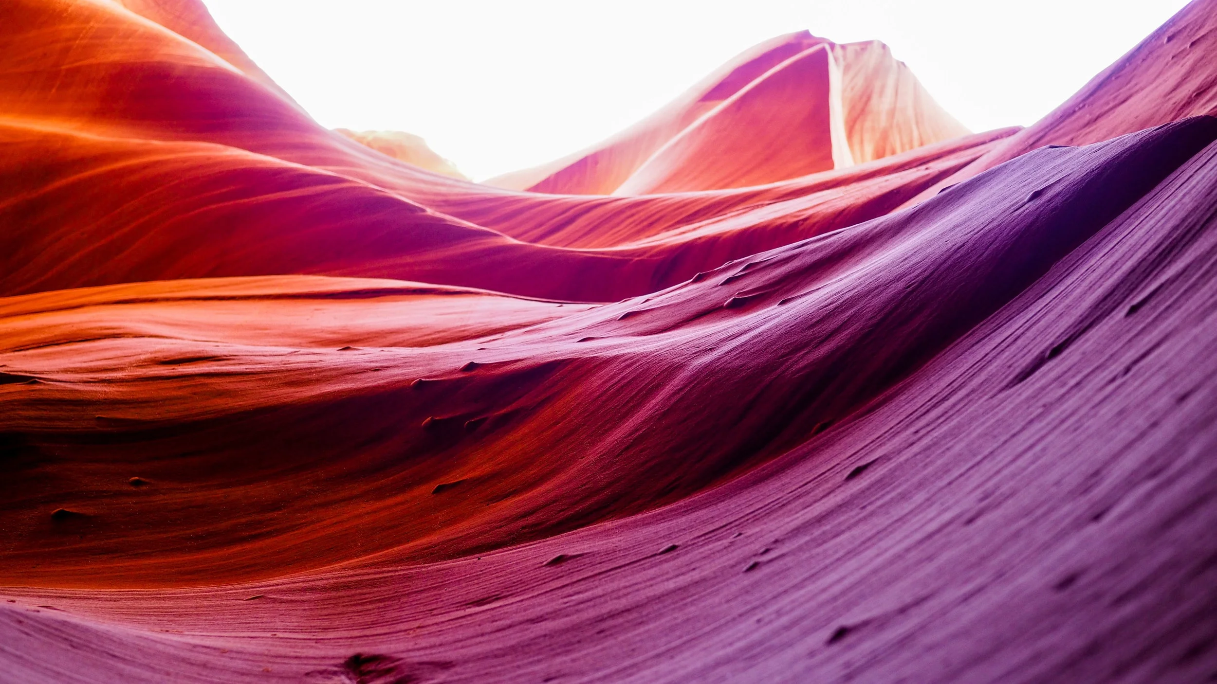Discover new horizons. Where Design Meets Data Learn More