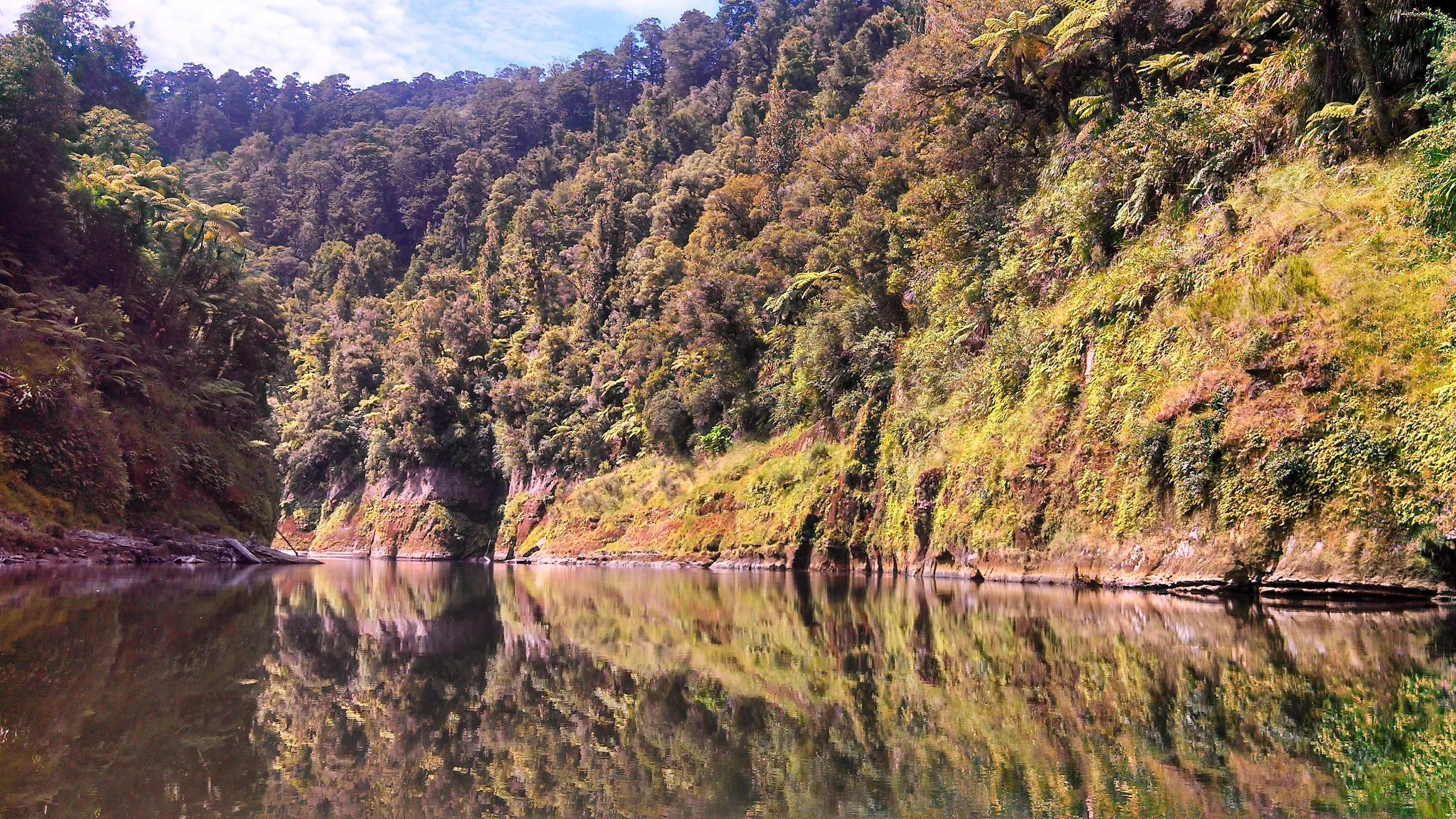 New Zealand's Whanganui River Journey Great Walk: It'll Strengthen Your Relationship