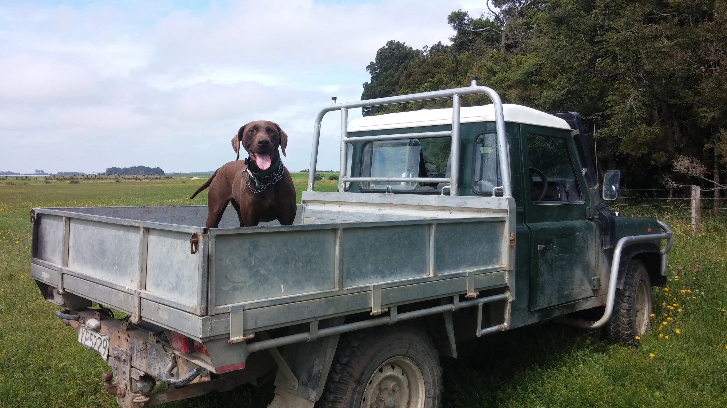 A Week on a New Zealand Sheep Farm: Captured at the Laundrette