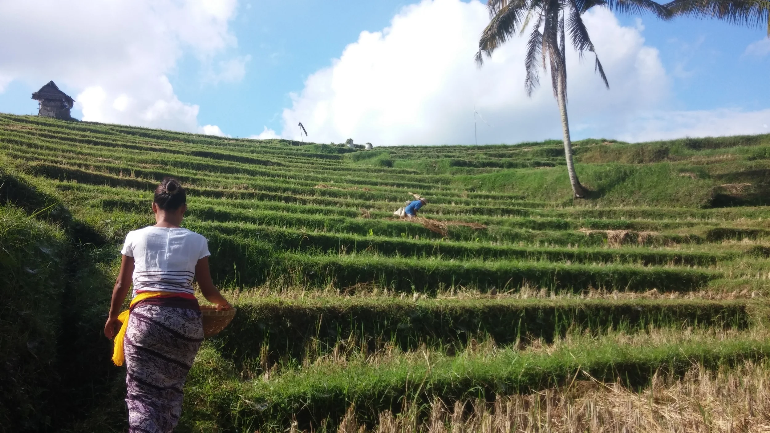 Drenched in Balinese Culture: Putu (Part 1)
