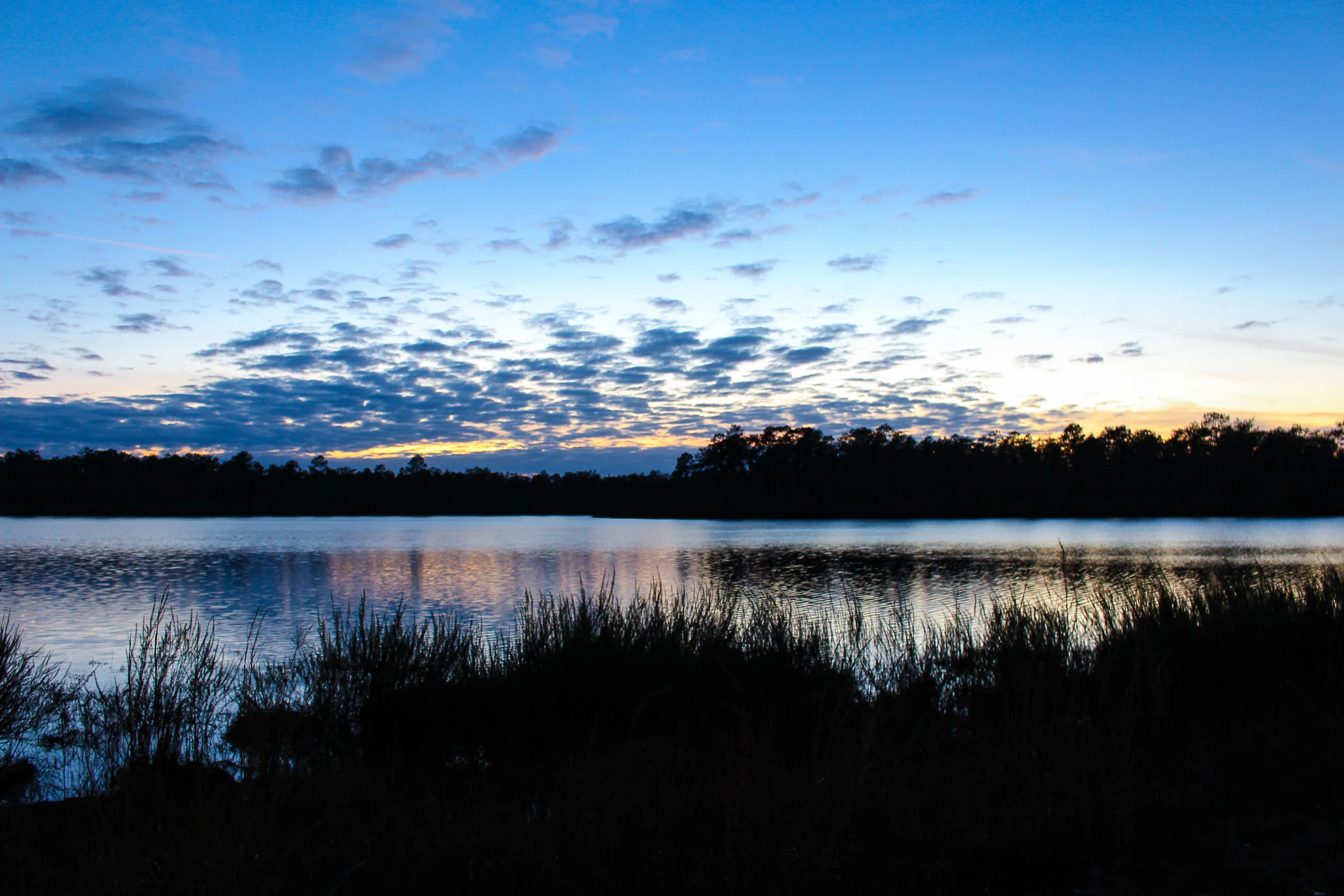 Dusk at Camel Lake Campground in Apalachicola National Forest, FL
