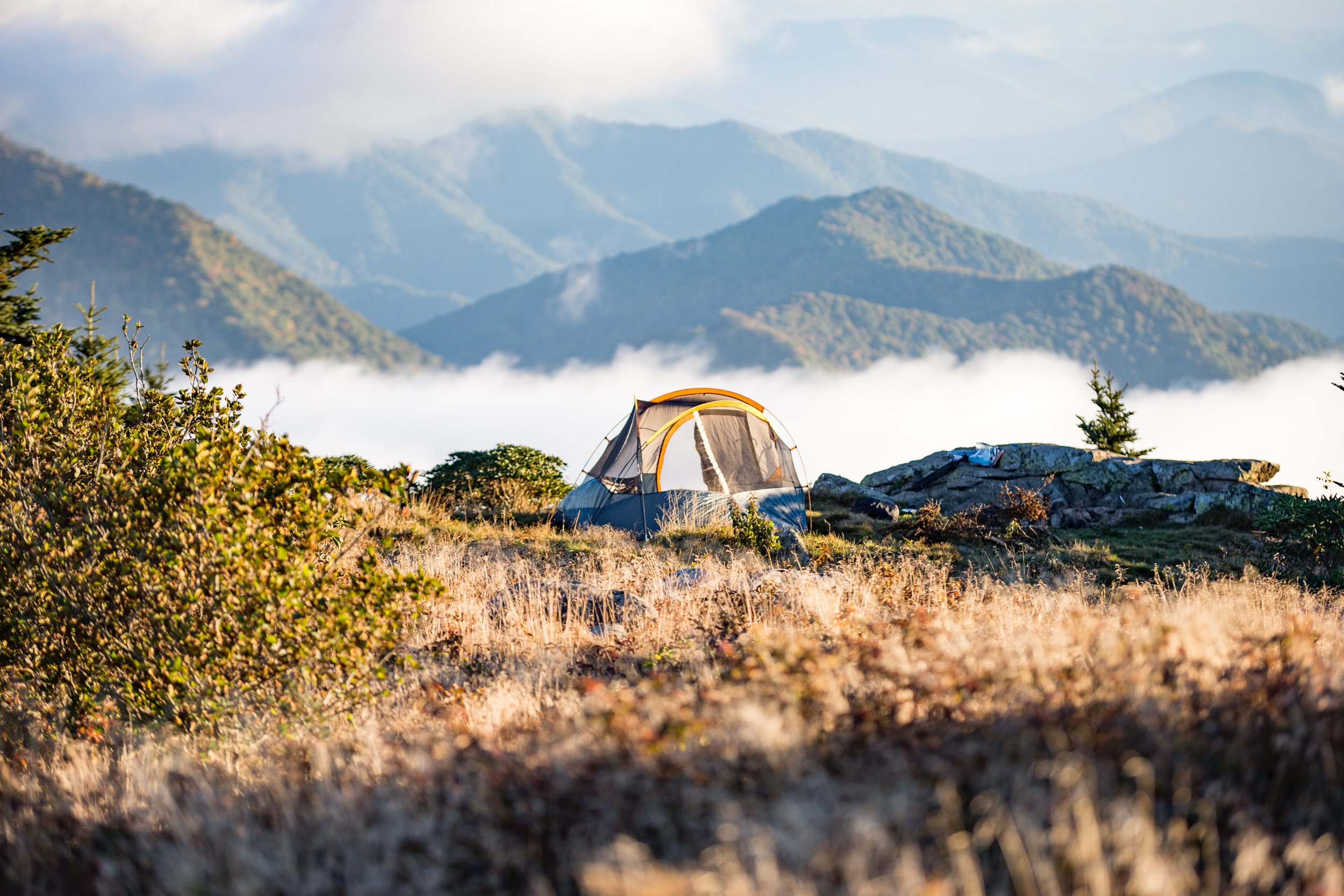 Our Top 10 Free & Cheap Campsites in Zealand — Nuventure