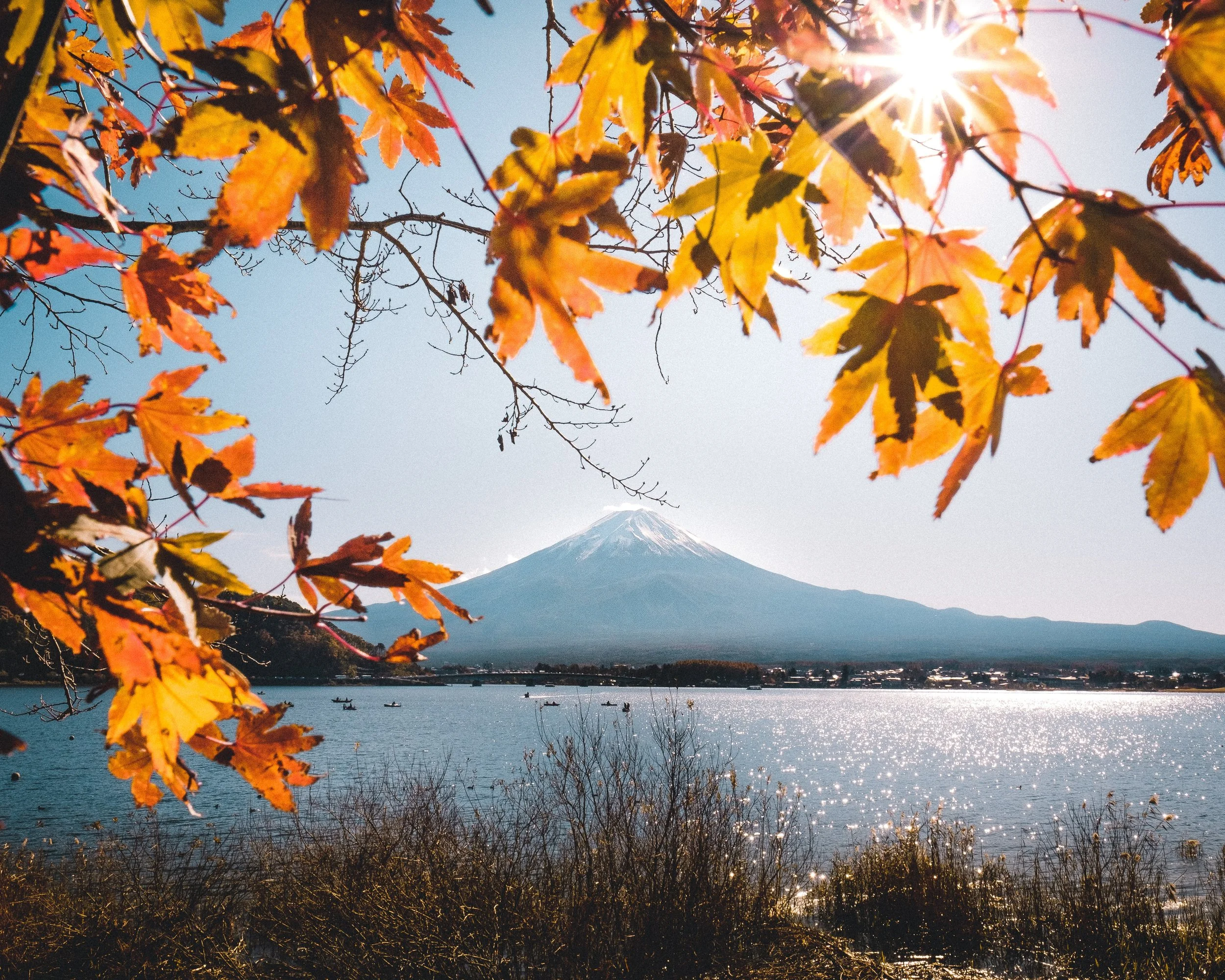 20 Fun Questions, Trivia & Conversation Starters for a Fall Road Trip