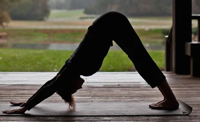 FREE ADULT VINYASA FLOW CLASS - ALL LEVELS