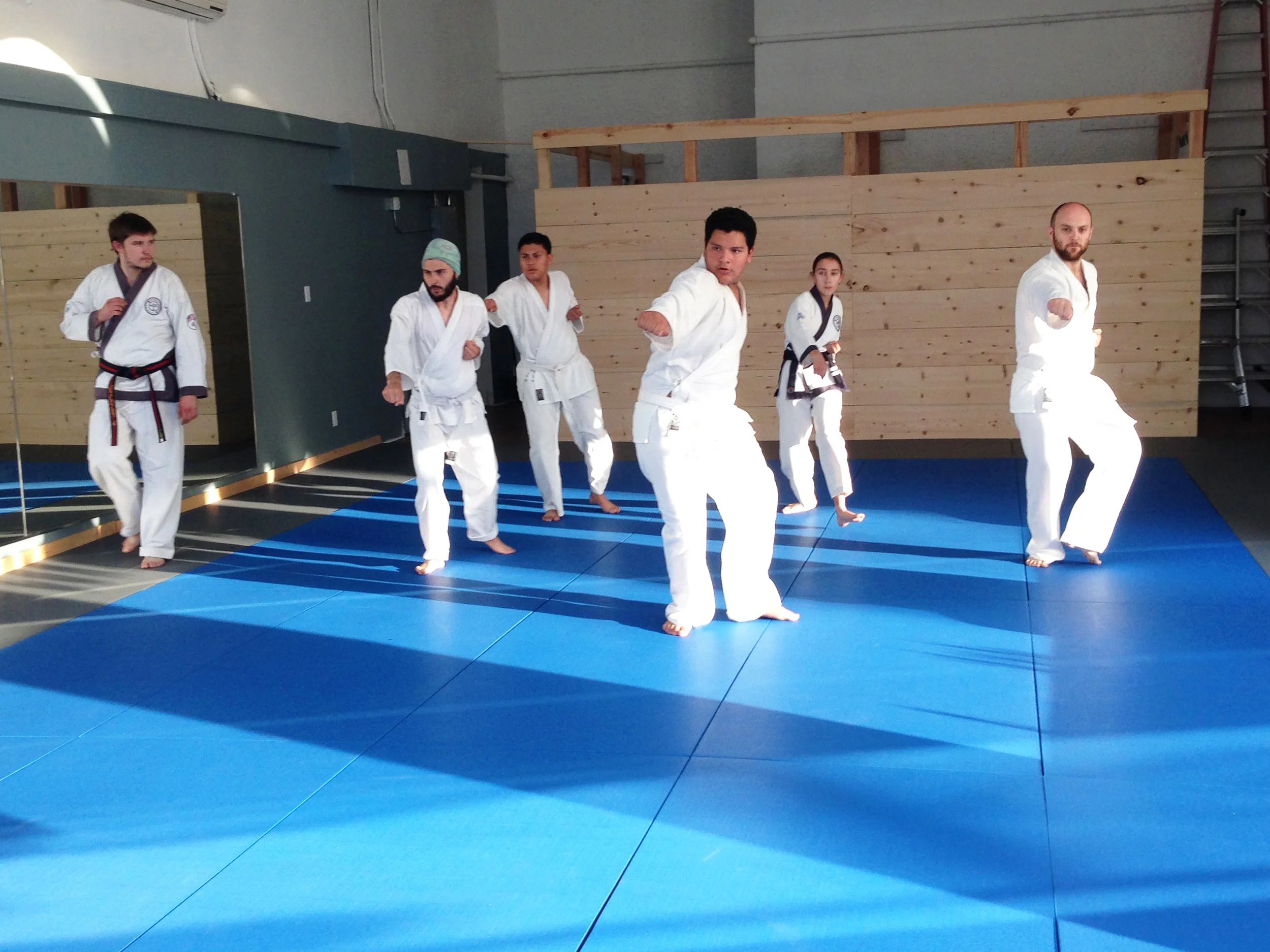 Doing the first form - gi cho hyung il bu