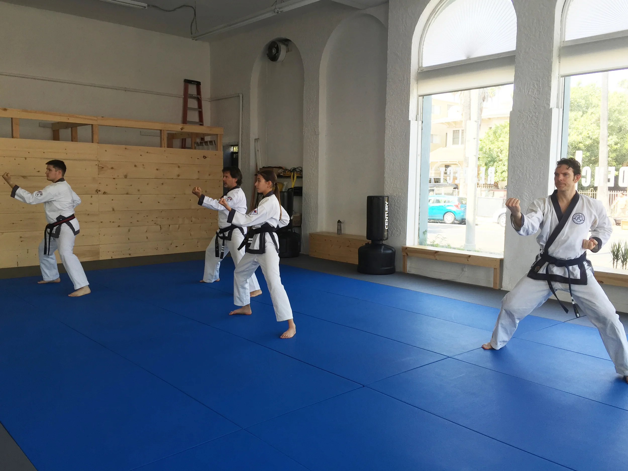 Dans (black belts) doing their forms