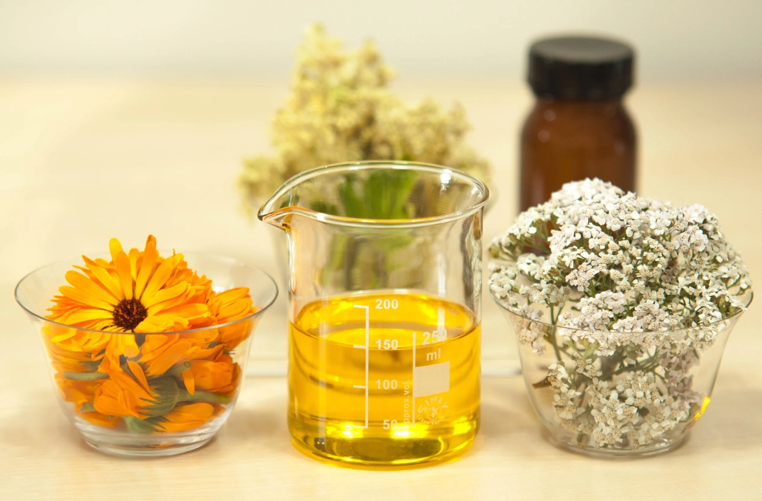 CHAMOMILE HERBAL AROMATIC TREATMENT CHAMOMILE IS ONE OF THE MOST POPULAR HERBS IN THE WORLD. CHAMOMILE STIMULATES THE NATURAL HORMONE THYROXINE, WHICH INFLUENCES AND REJUVENATES THE TEXTURE OF THE SKIN AND HAIR.