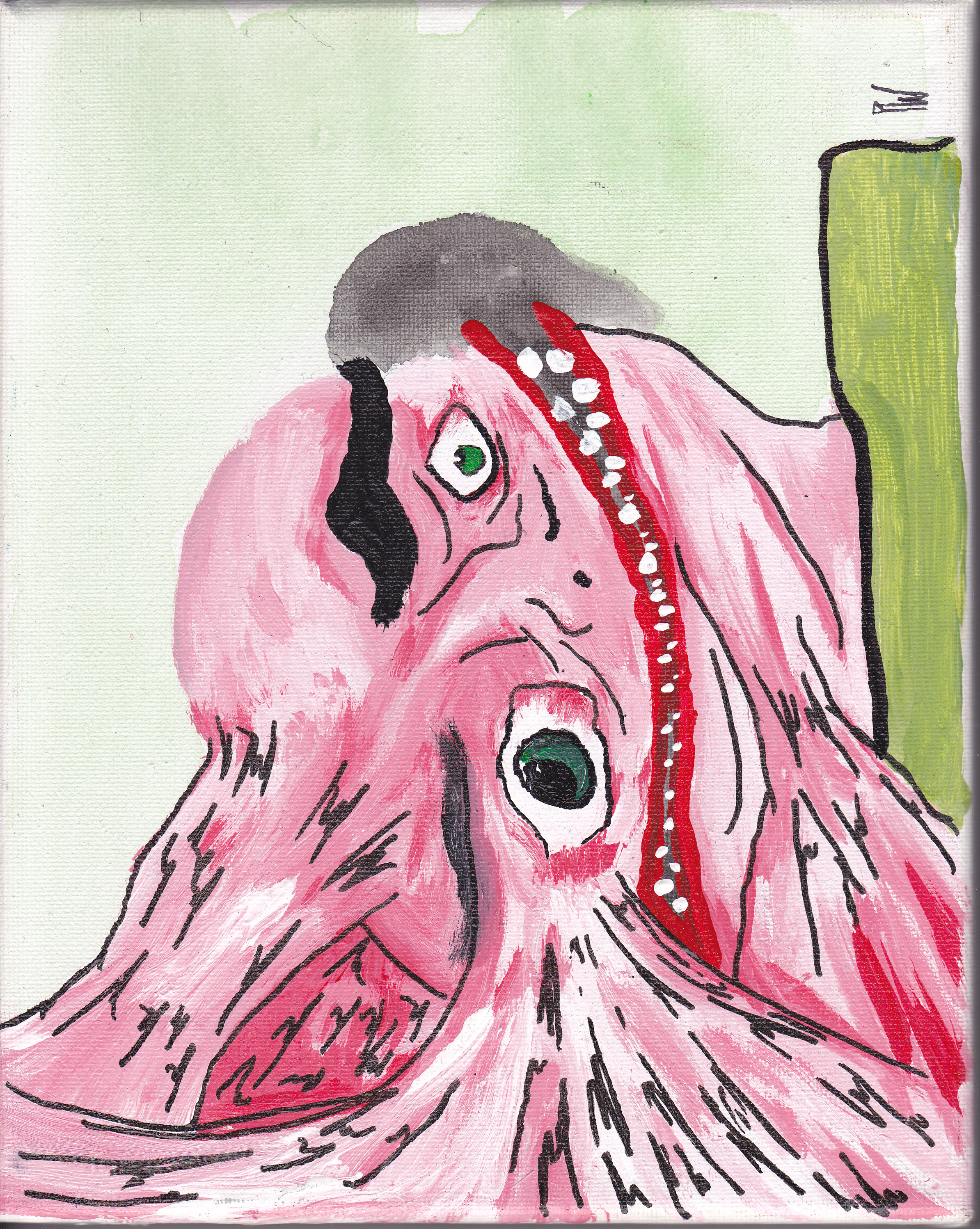 IMG.jpg
