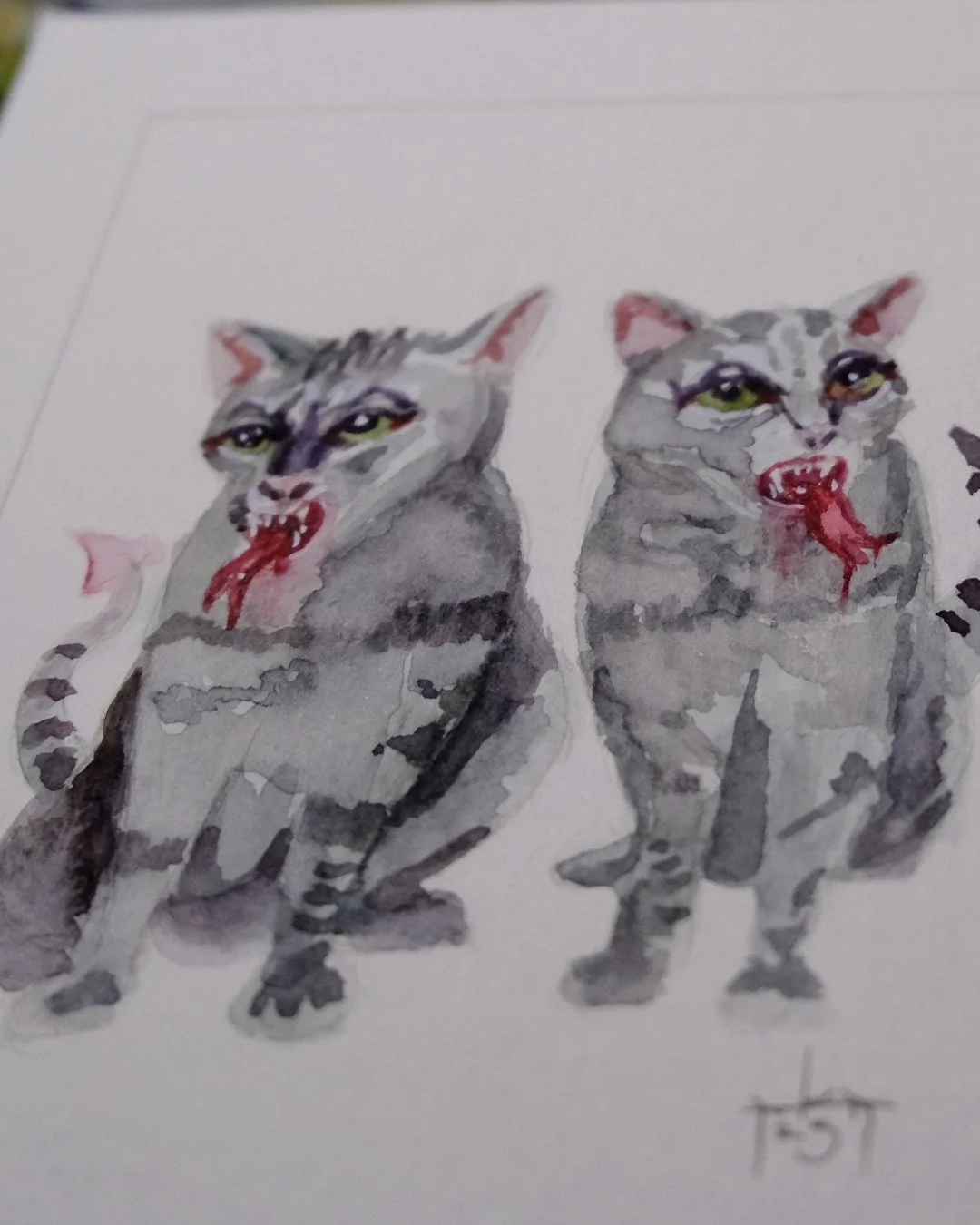cats2.jpg