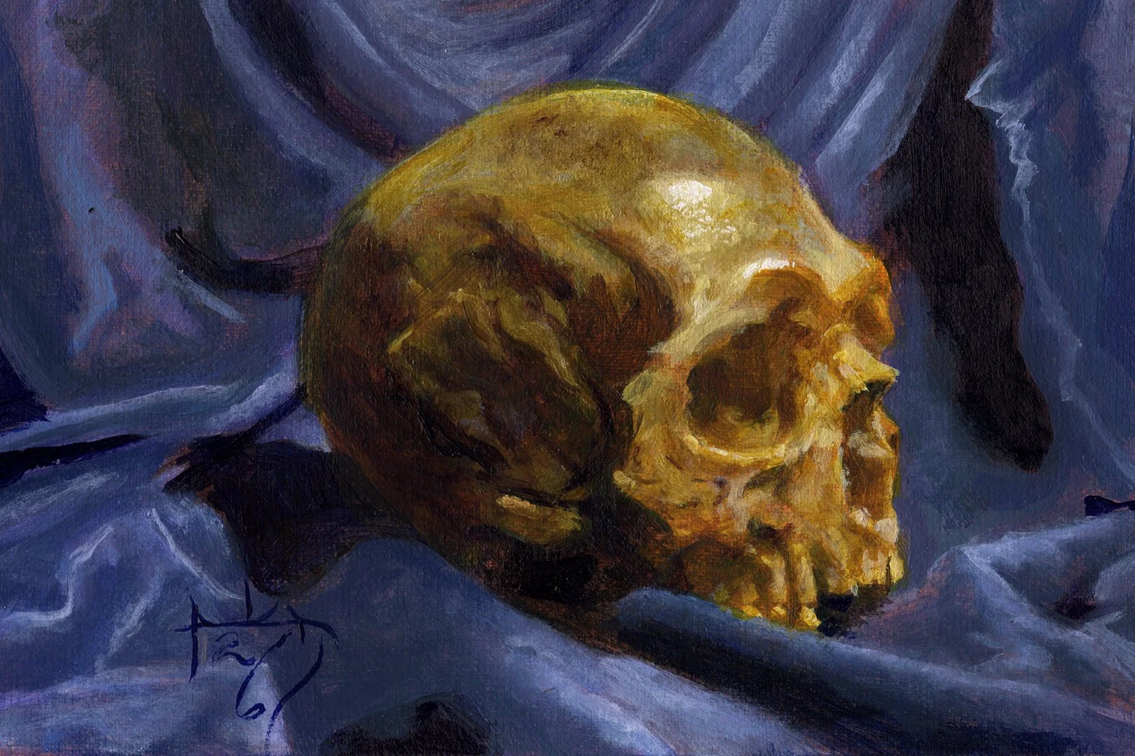 skull.jpg (Copy)