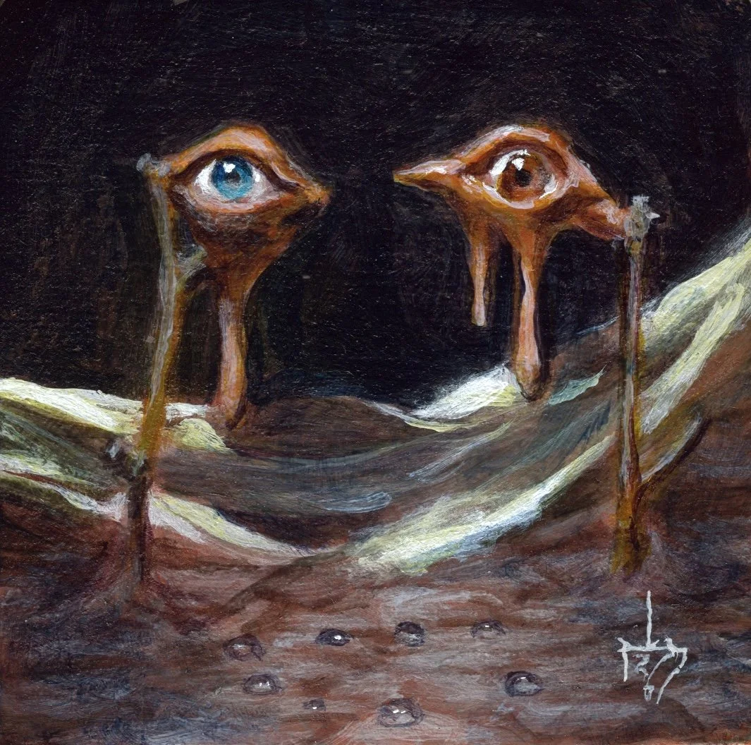 eyeballs3x3.jpg