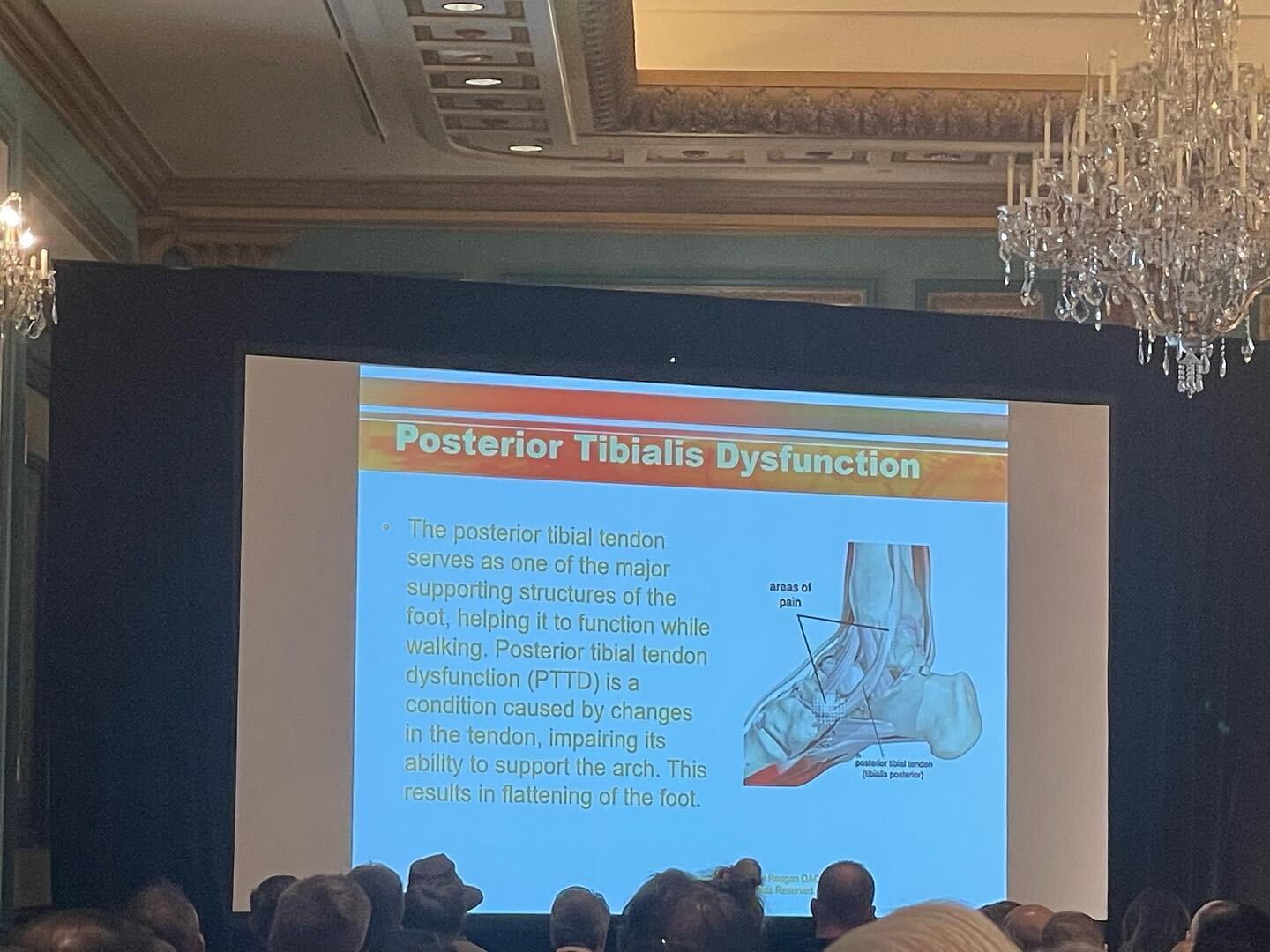 Staying on top of your game is a must!! We are constantly learning to be the best in the game!! Spent 4 days learning from the best! And we are excited to bring this new information to our patients!! #chiropractic #convention #invictus #parkerlasvega