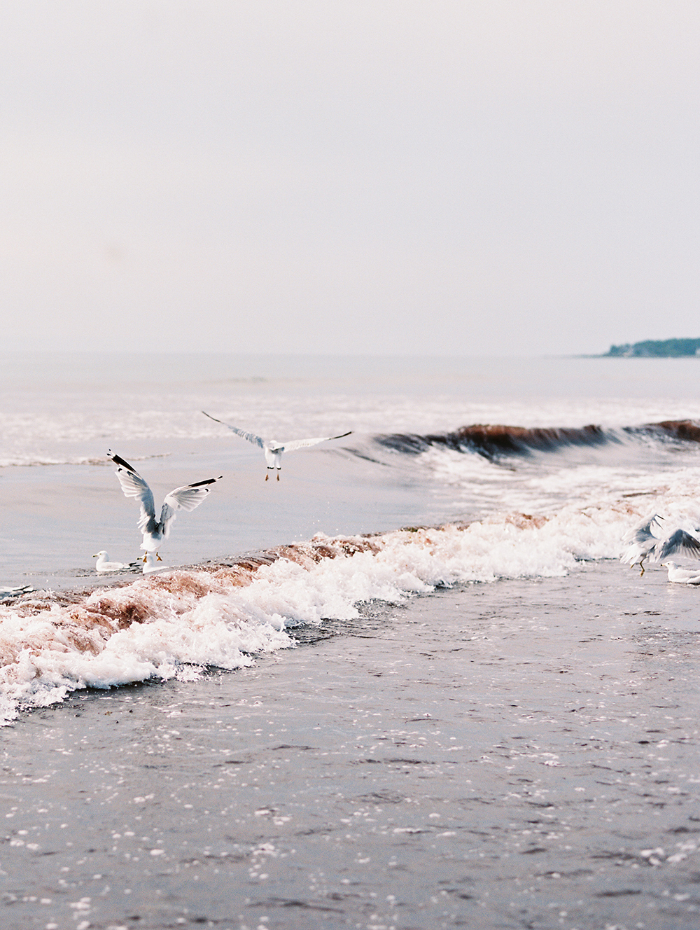 Maine_116.jpg
