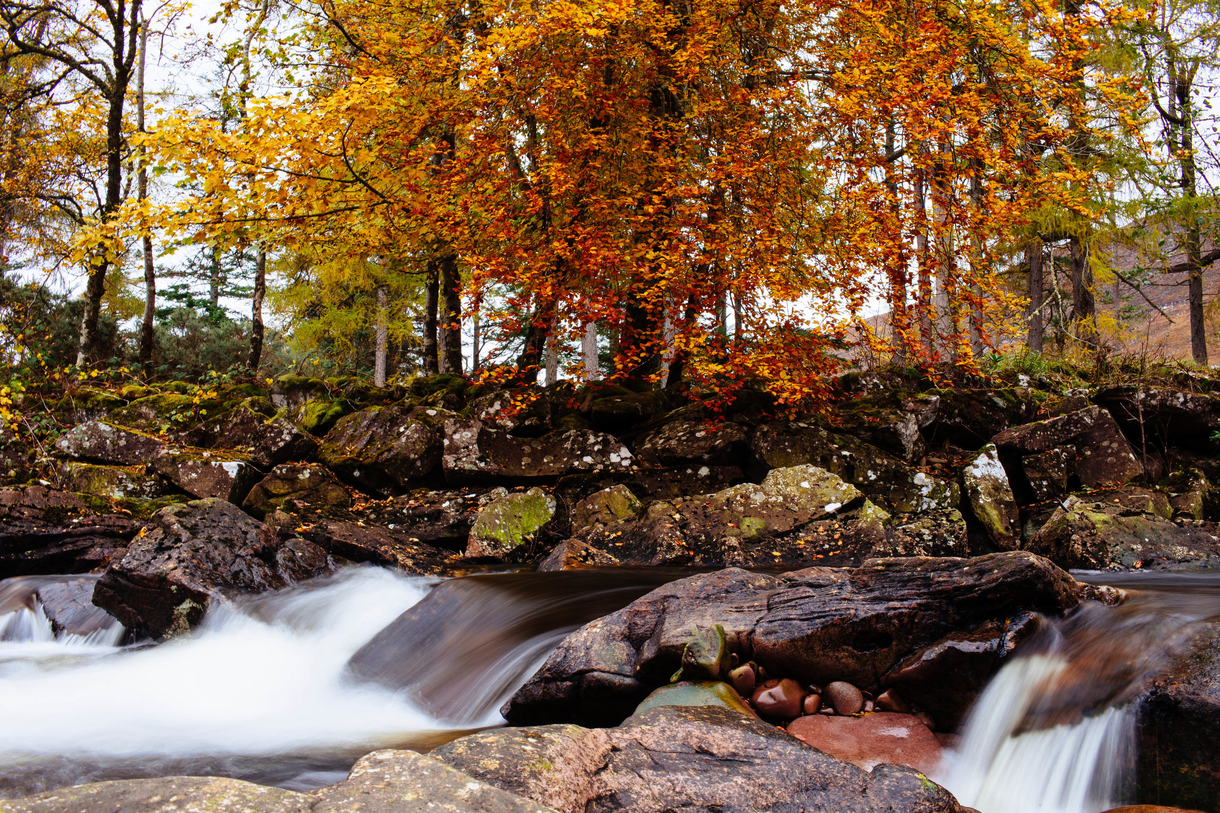 0.6 seconds, f/22.0, ISO 100