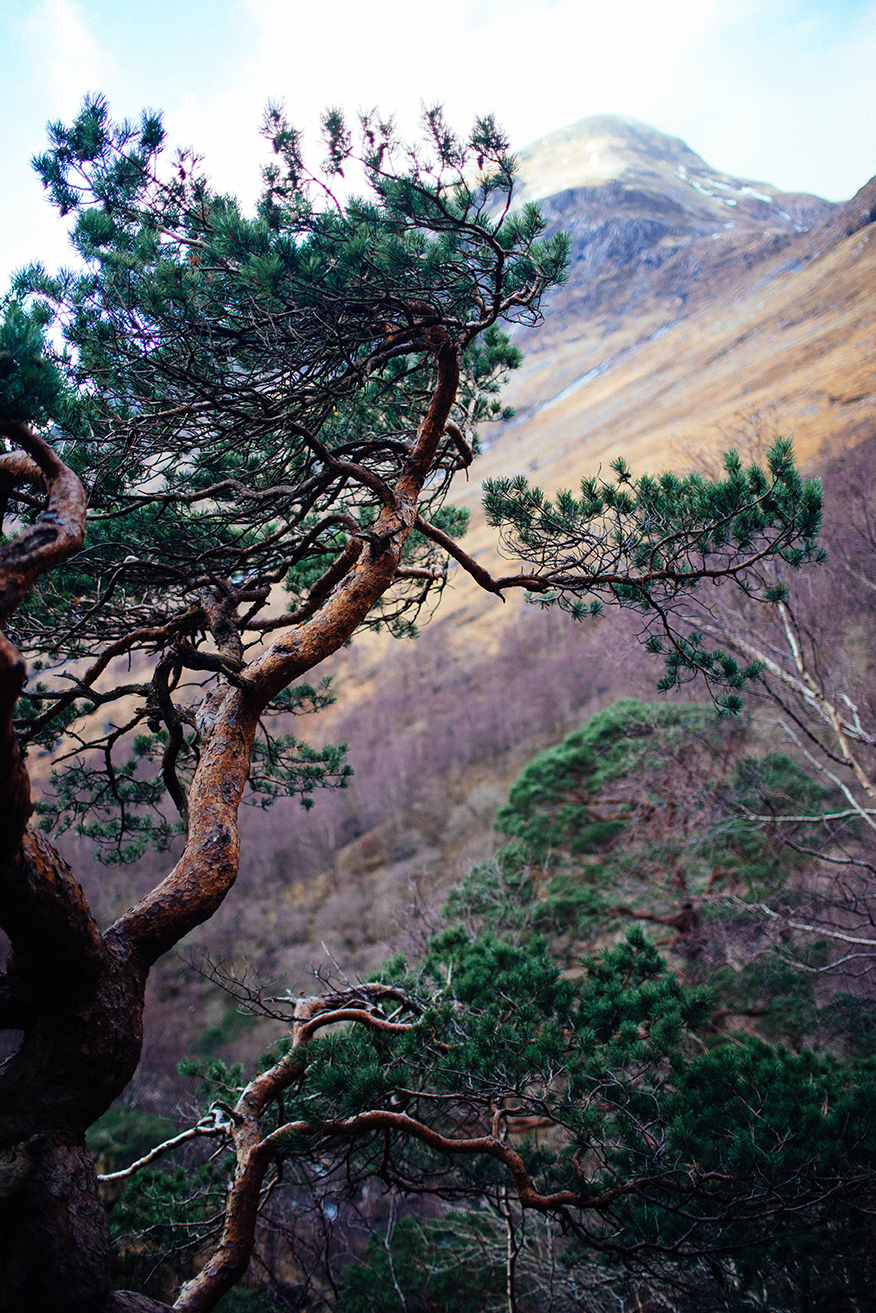 Scotland Fall 2016_0383.jpg