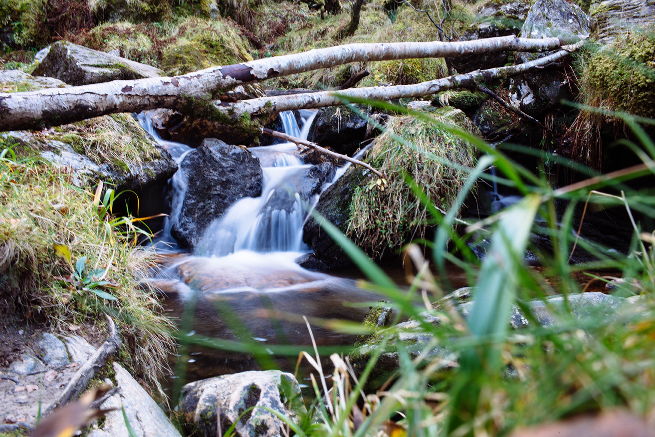Scotland Fall 2016_0414.jpg