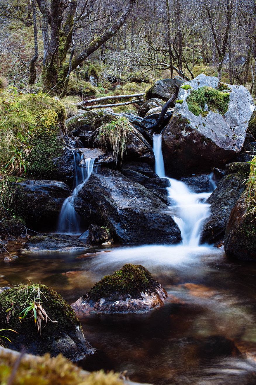 Scotland Fall 2016_0415.jpg