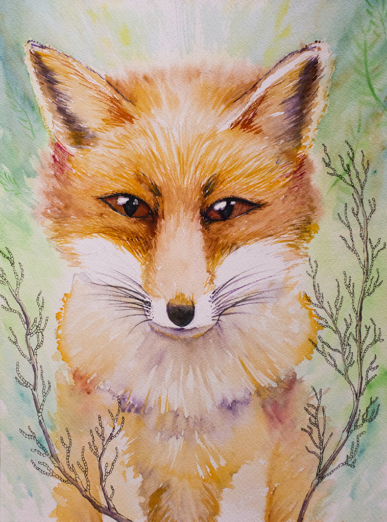 Fox sm.jpg