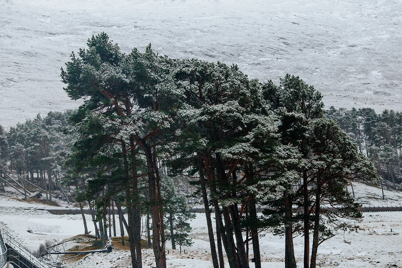Scotland 2018_0180.jpg