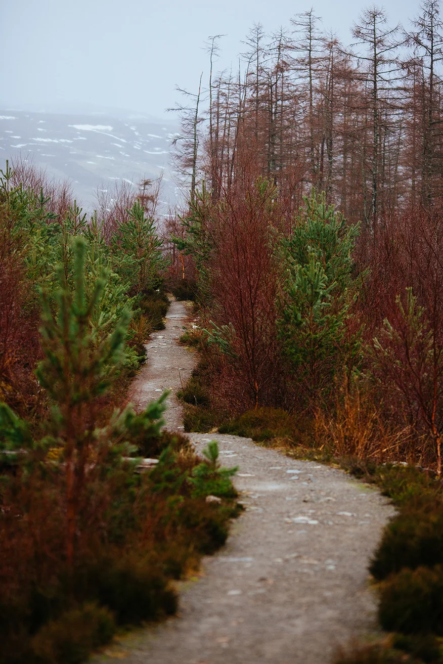 Scotland 2018_0185.jpg