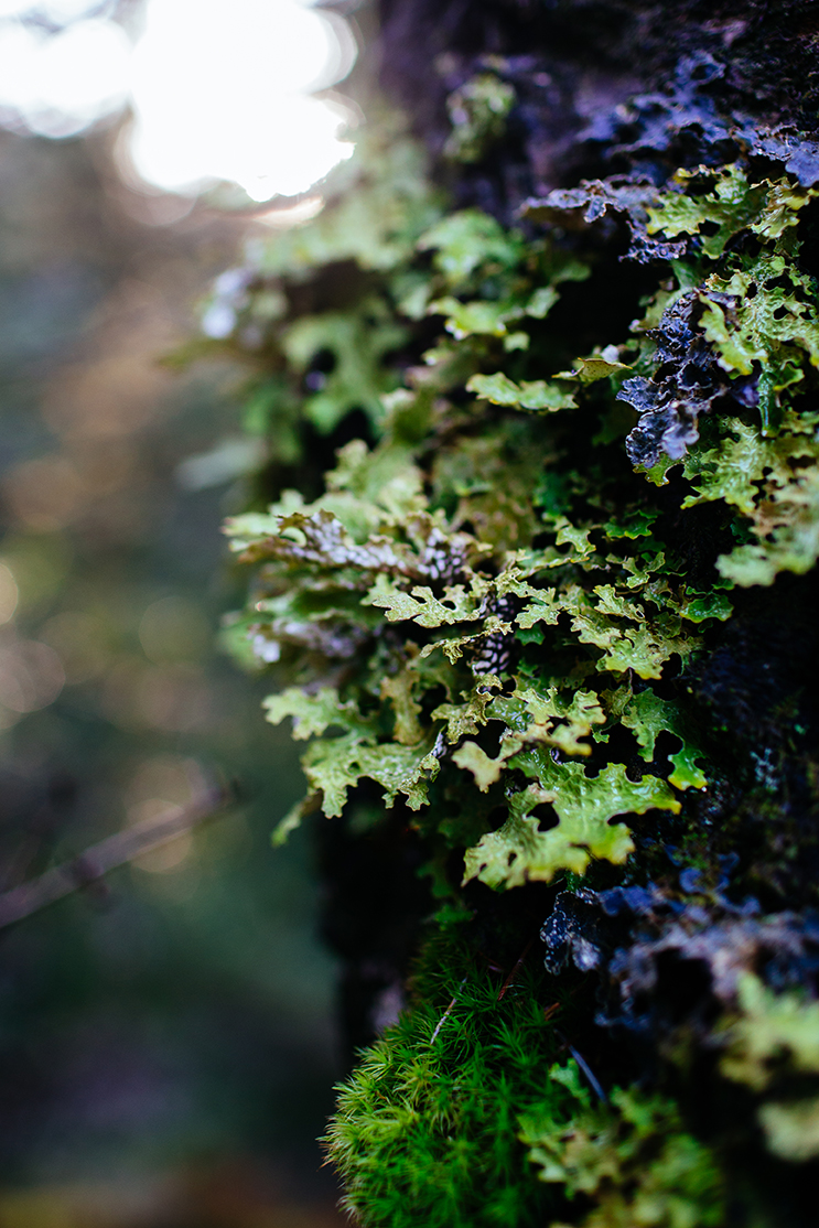 Scotland 2018_0339.jpg