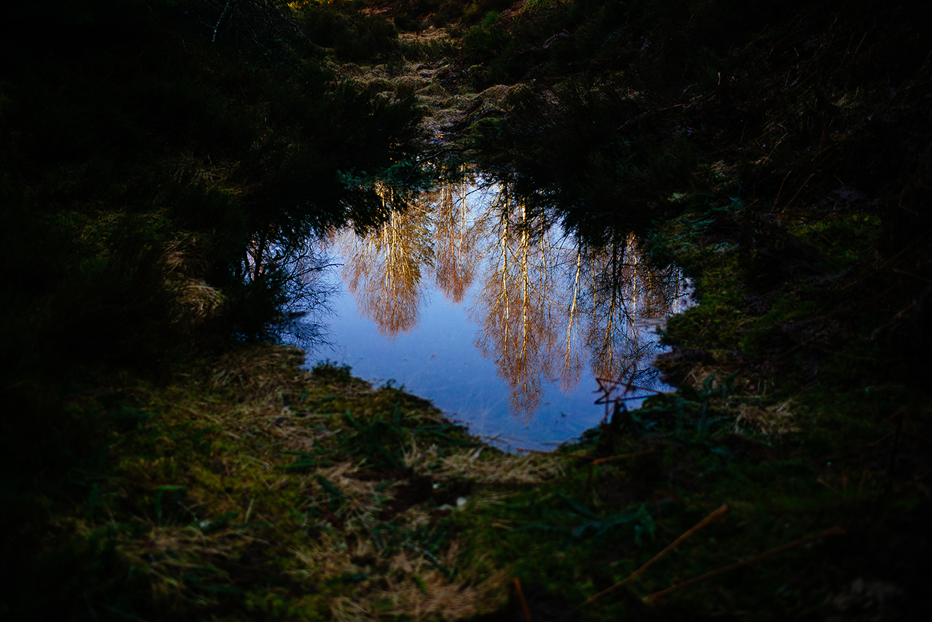 Scotland 2018_0341.jpg