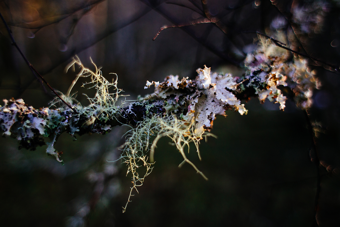 Scotland 2018_0352.jpg