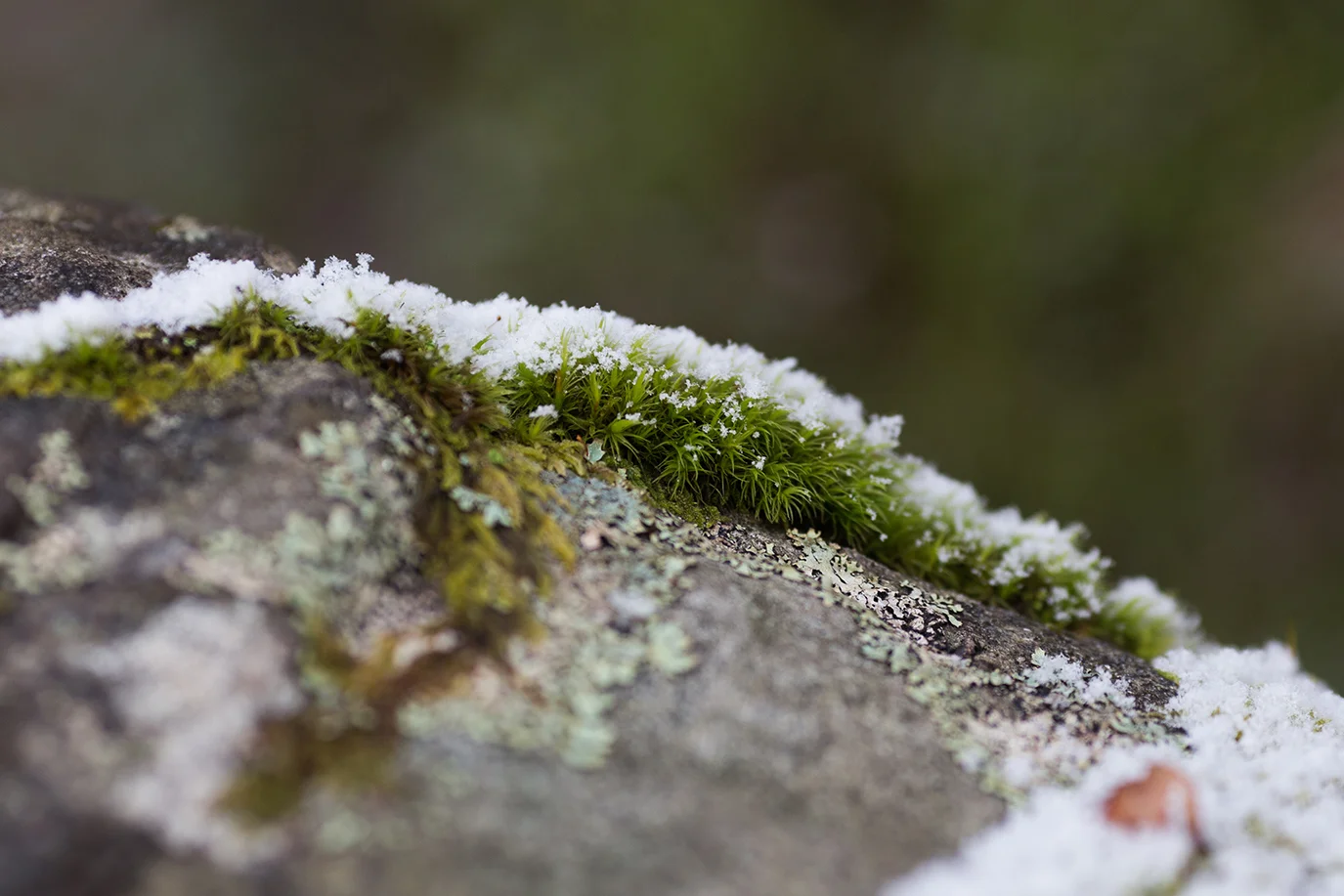 Scotland 2018_0424.jpg