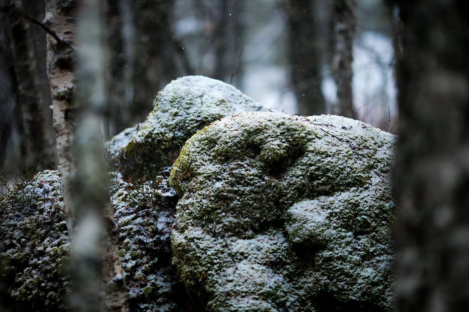 Scotland 2018_0481.jpg