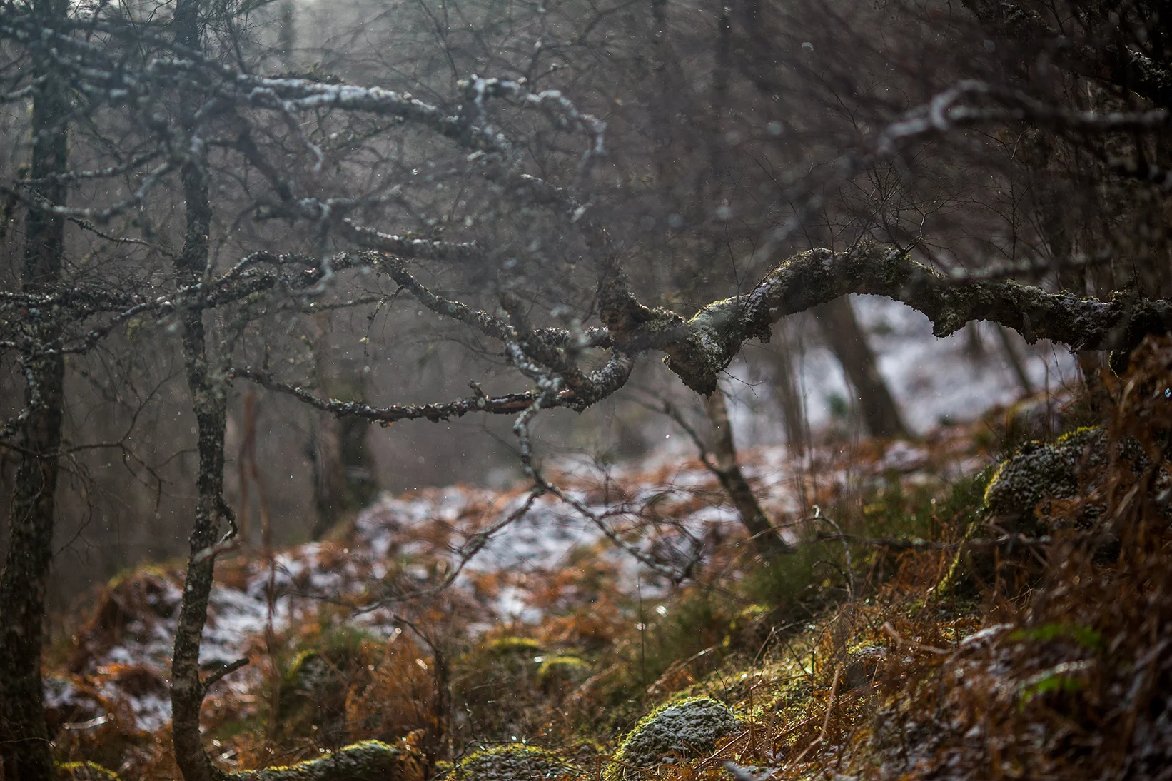 Scotland 2018_0474.jpg