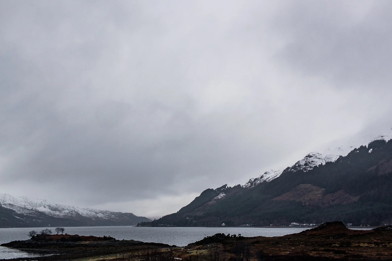 Scotland 2018_0620.jpg