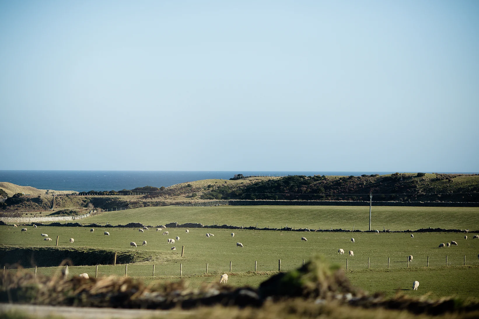 Scotland 2018_1019.jpg