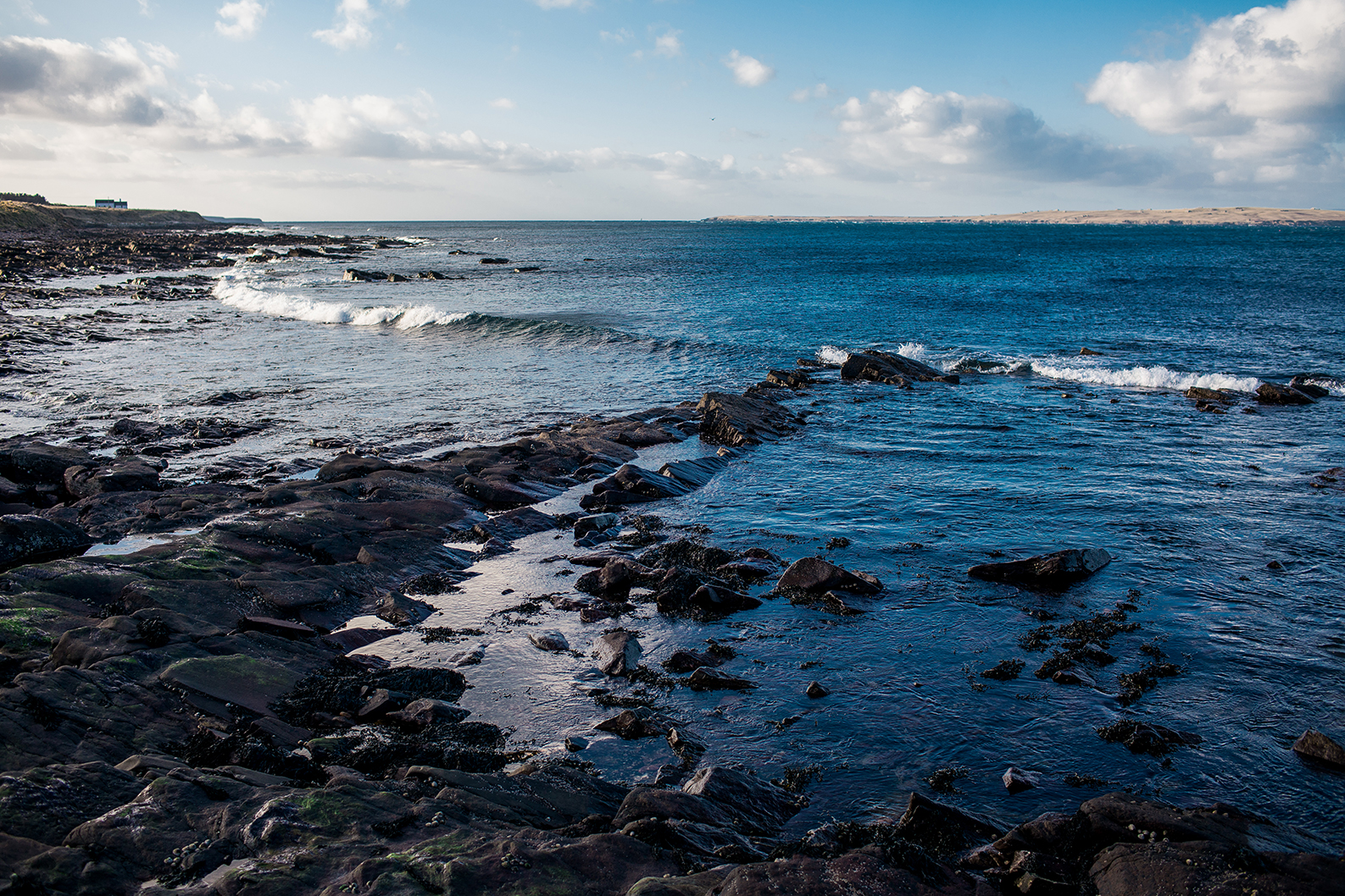 Scotland 2018_1025.jpg