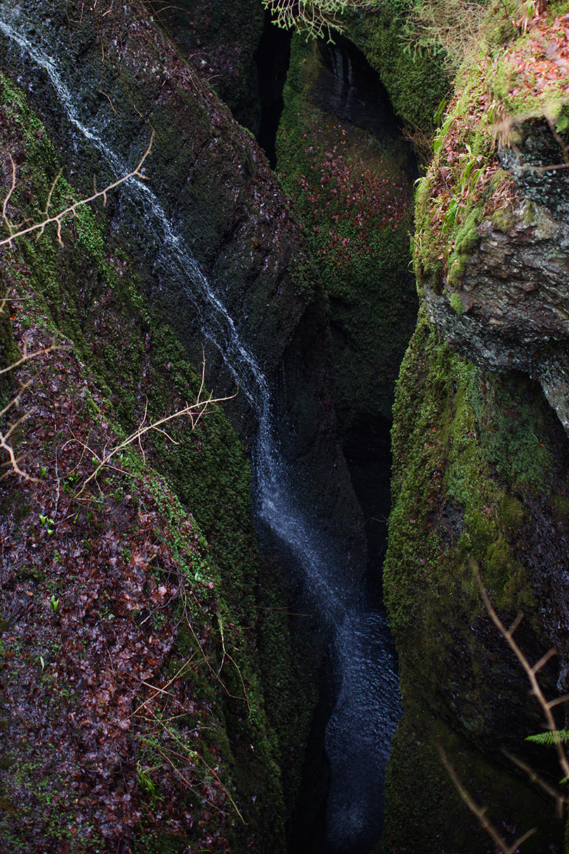 Scotland 2018_1302.jpg