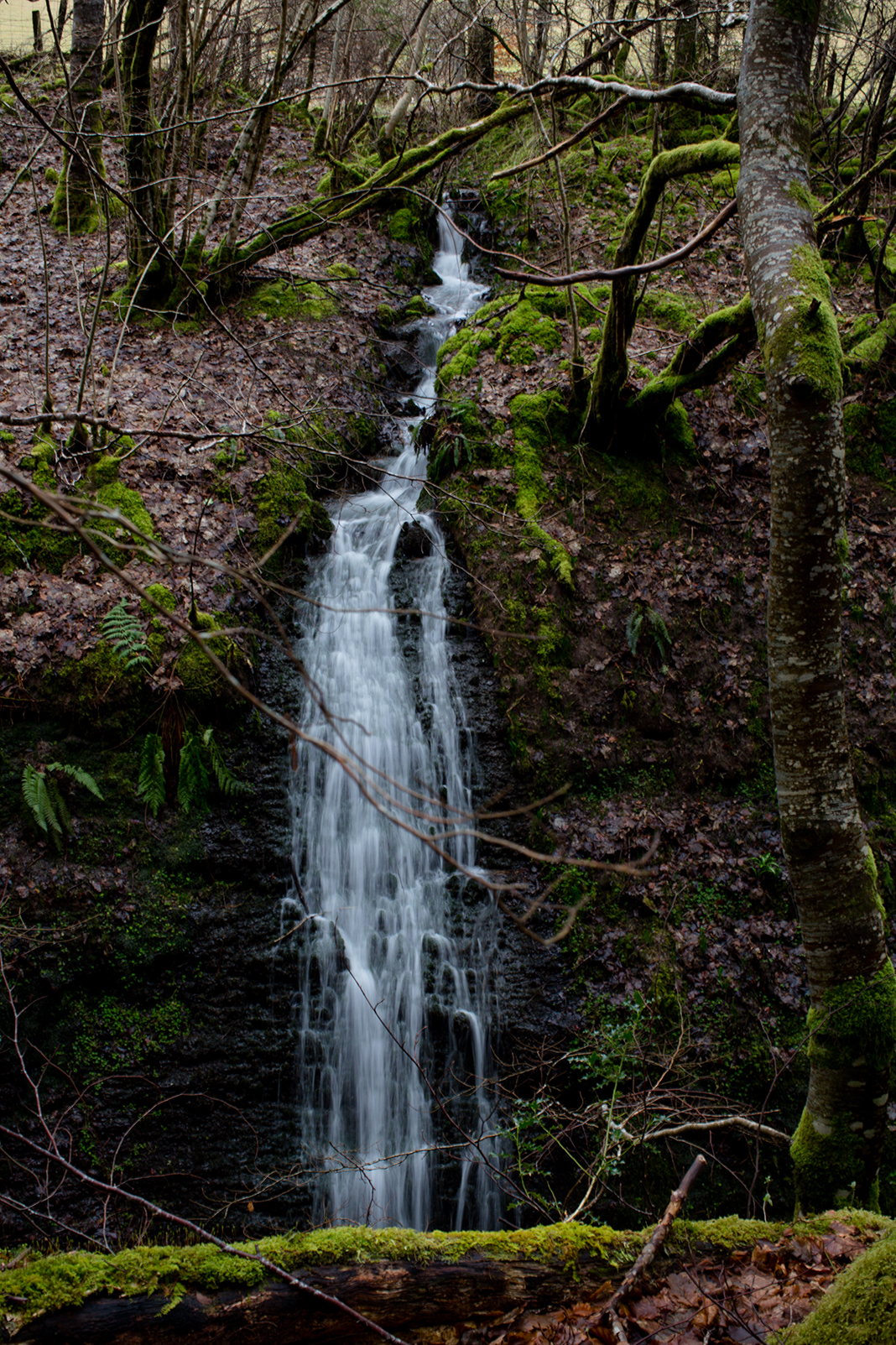 Scotland 2018_1307.jpg