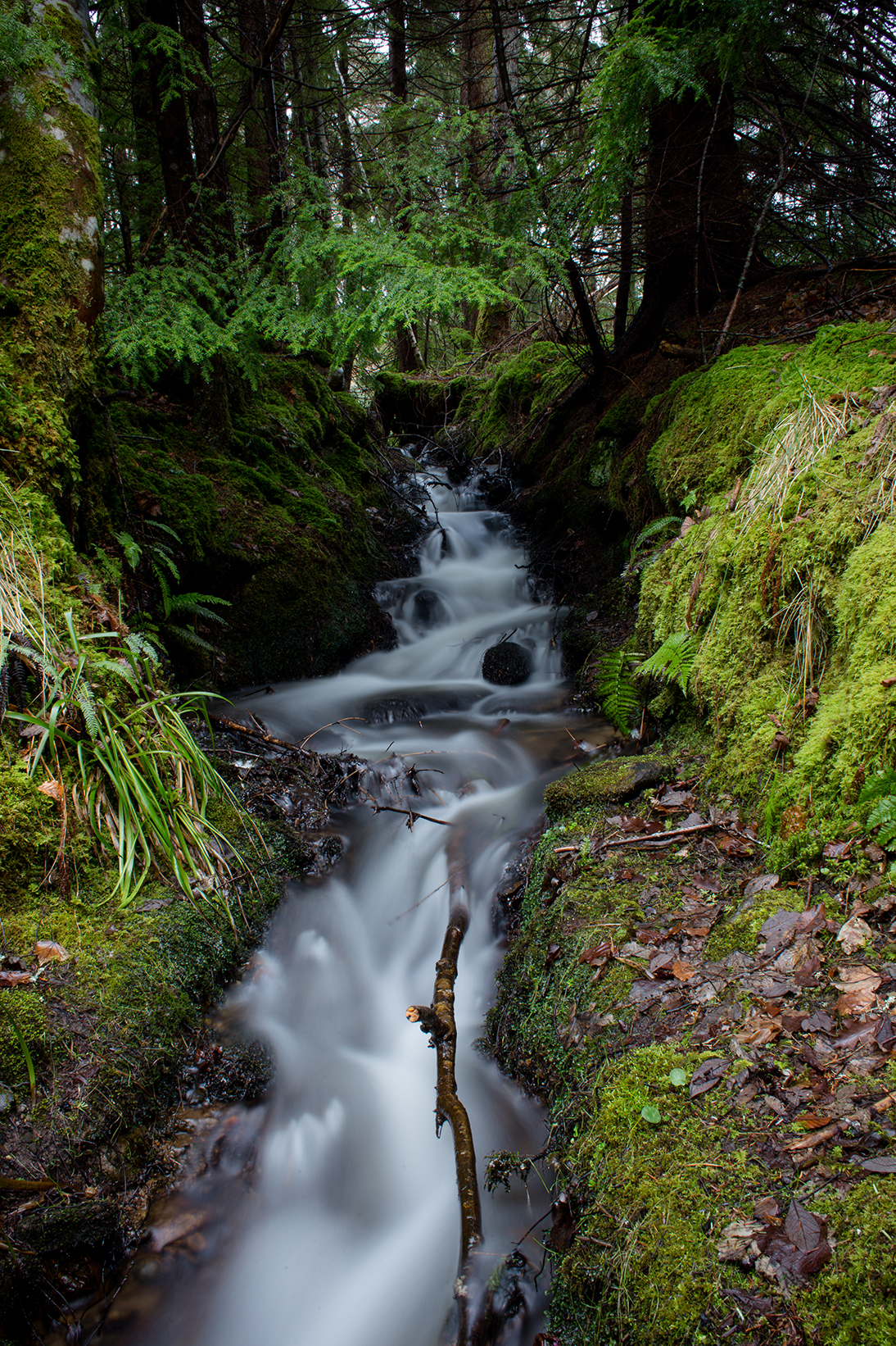 Scotland 2018_1333.jpg