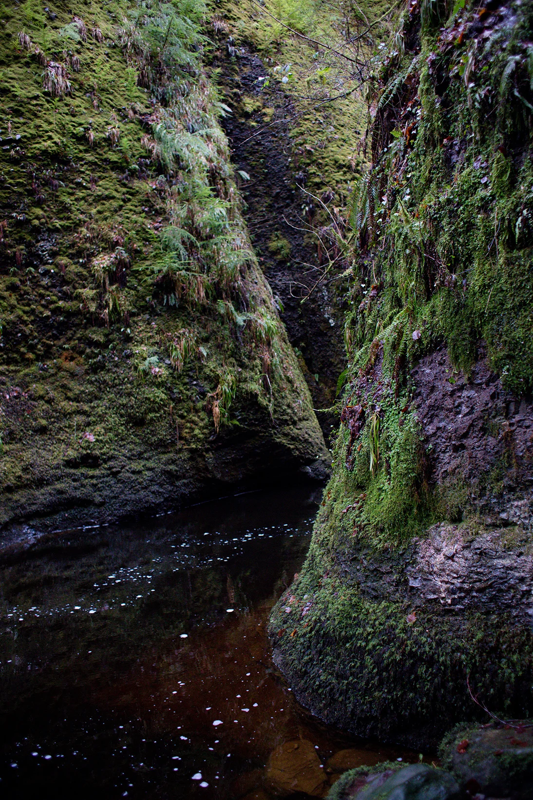 Scotland 2018_1327.jpg