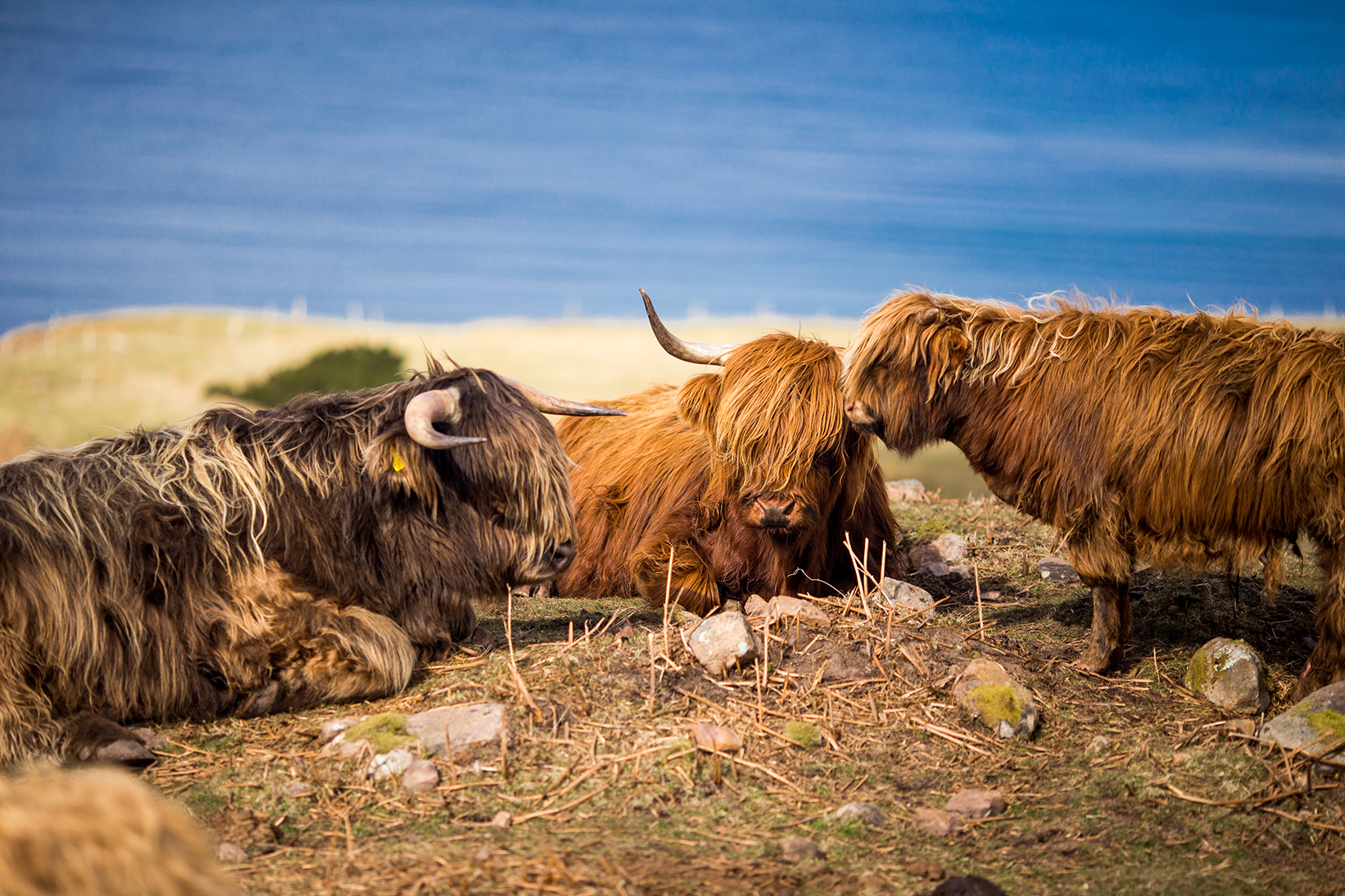 Scotland 2018_1750.jpg