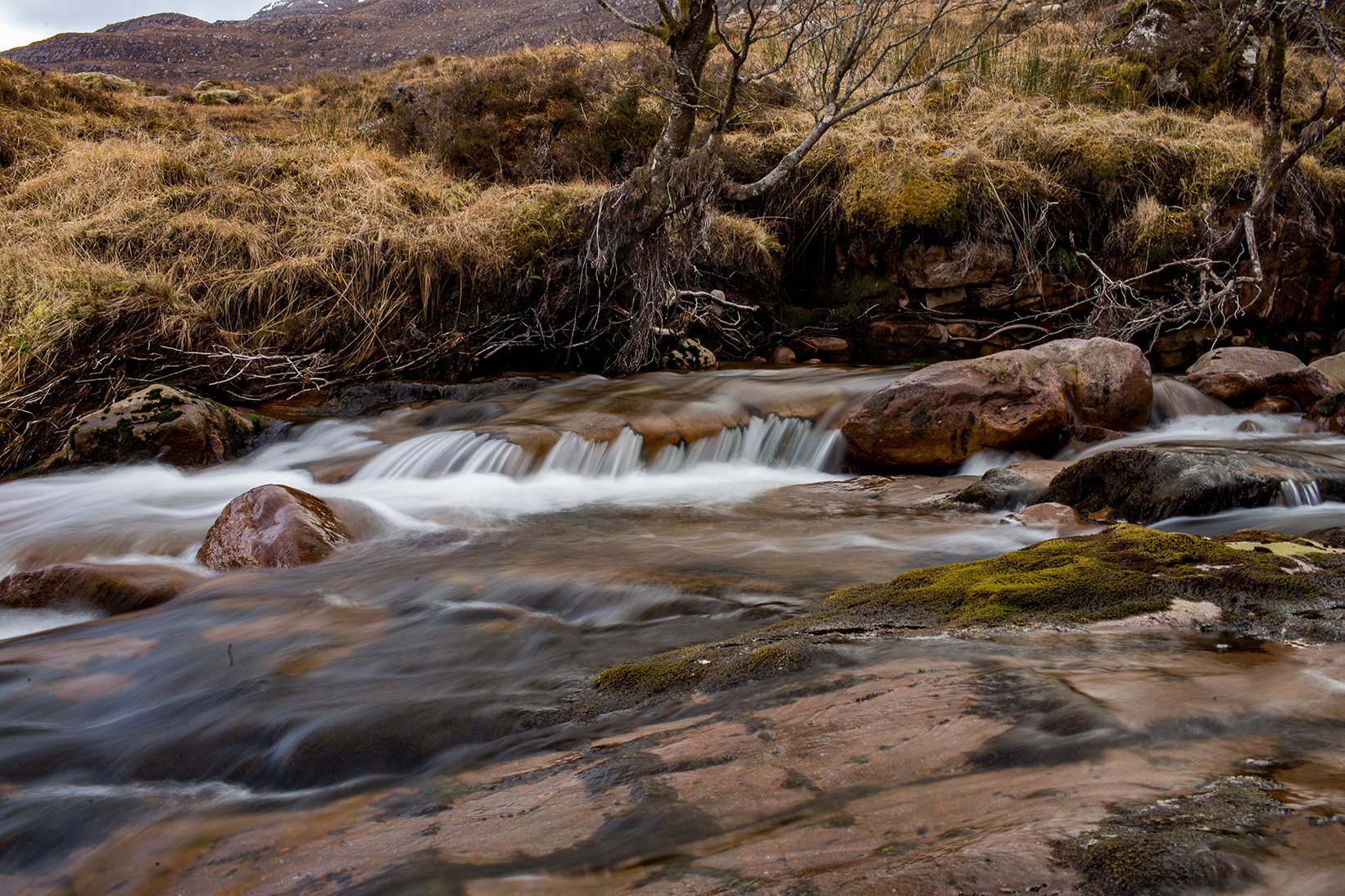 Scotland 2018_1909.jpg