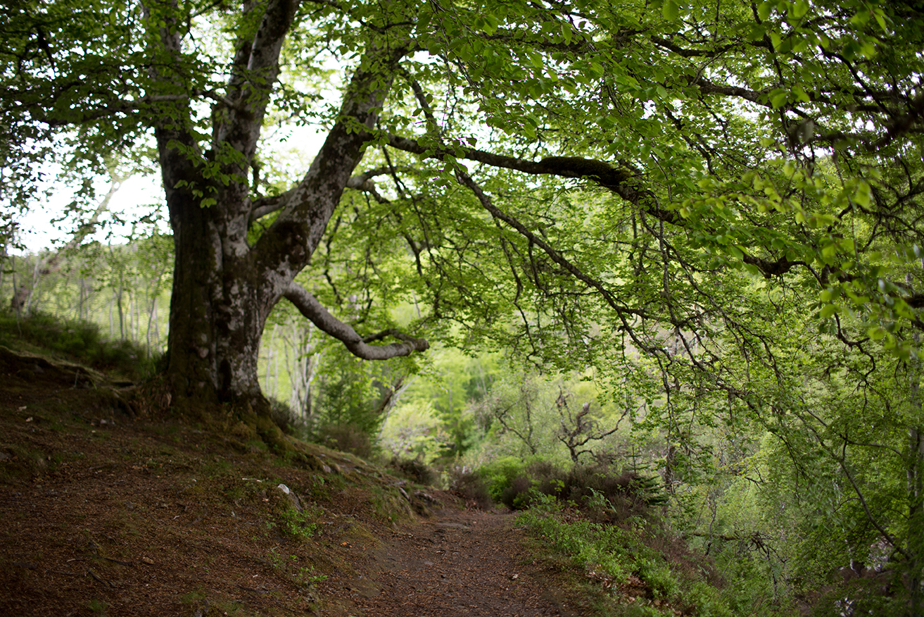 Scotland 2018_2130.jpg