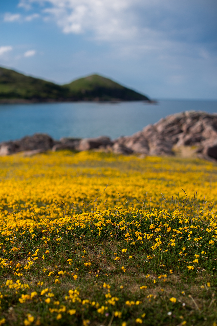 Scotland 2018_2434.jpg