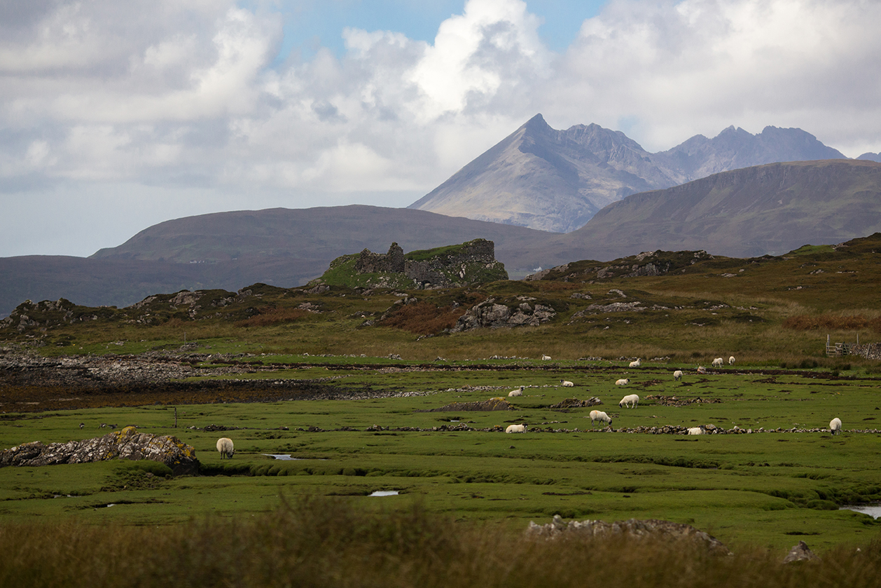 Scotland_2018_3045.jpg