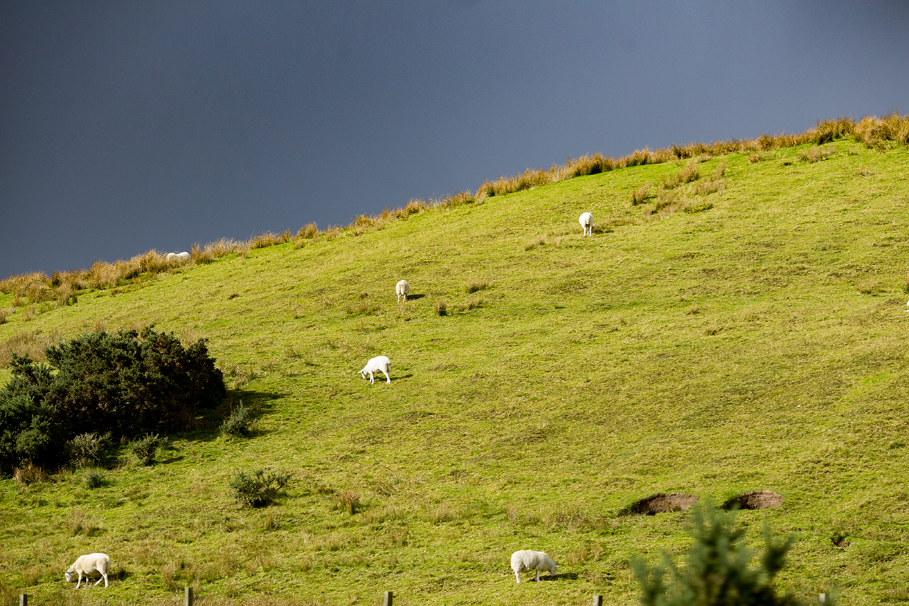 Scotland_2018_3139.jpg