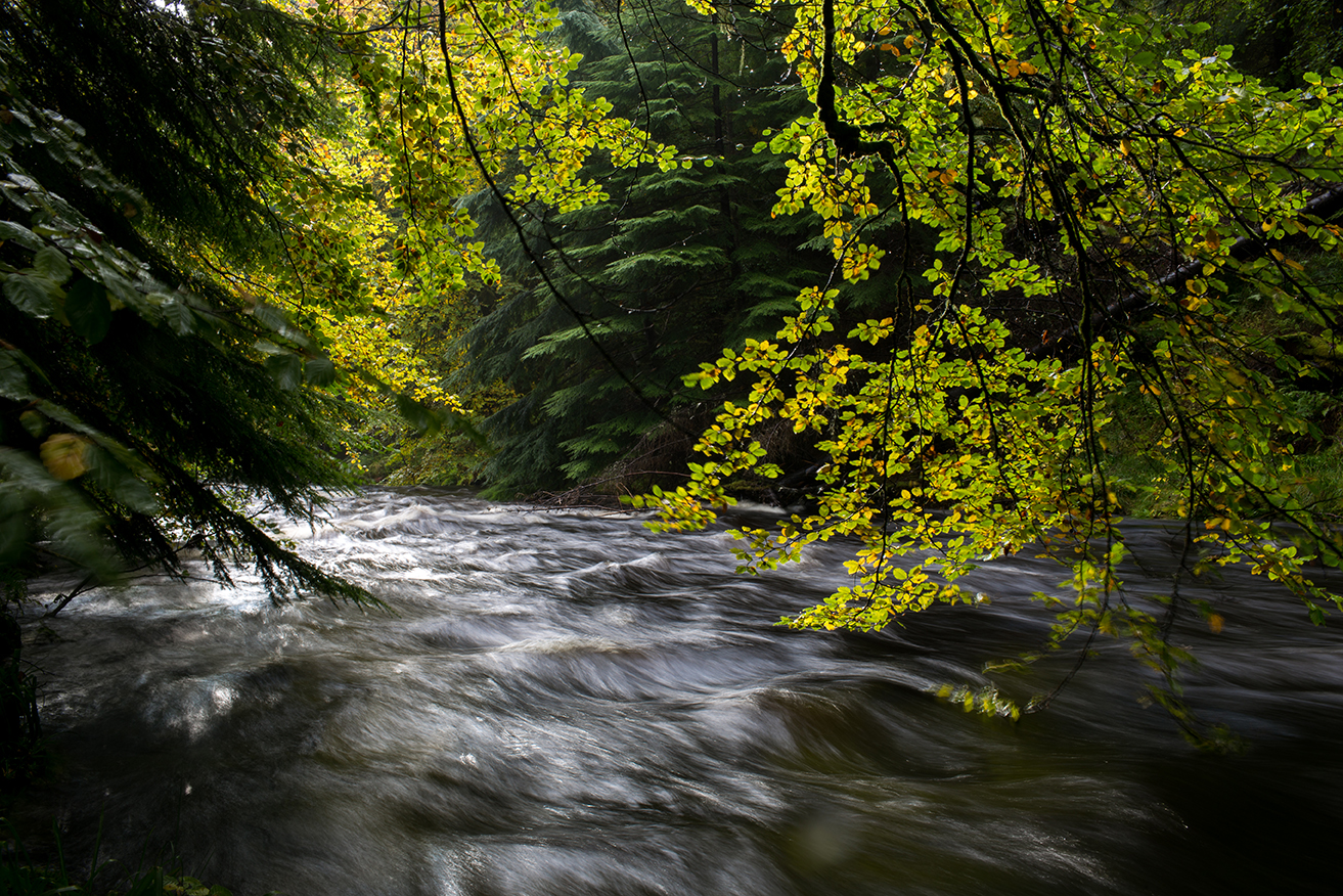 Scotland_2018_3321.jpg