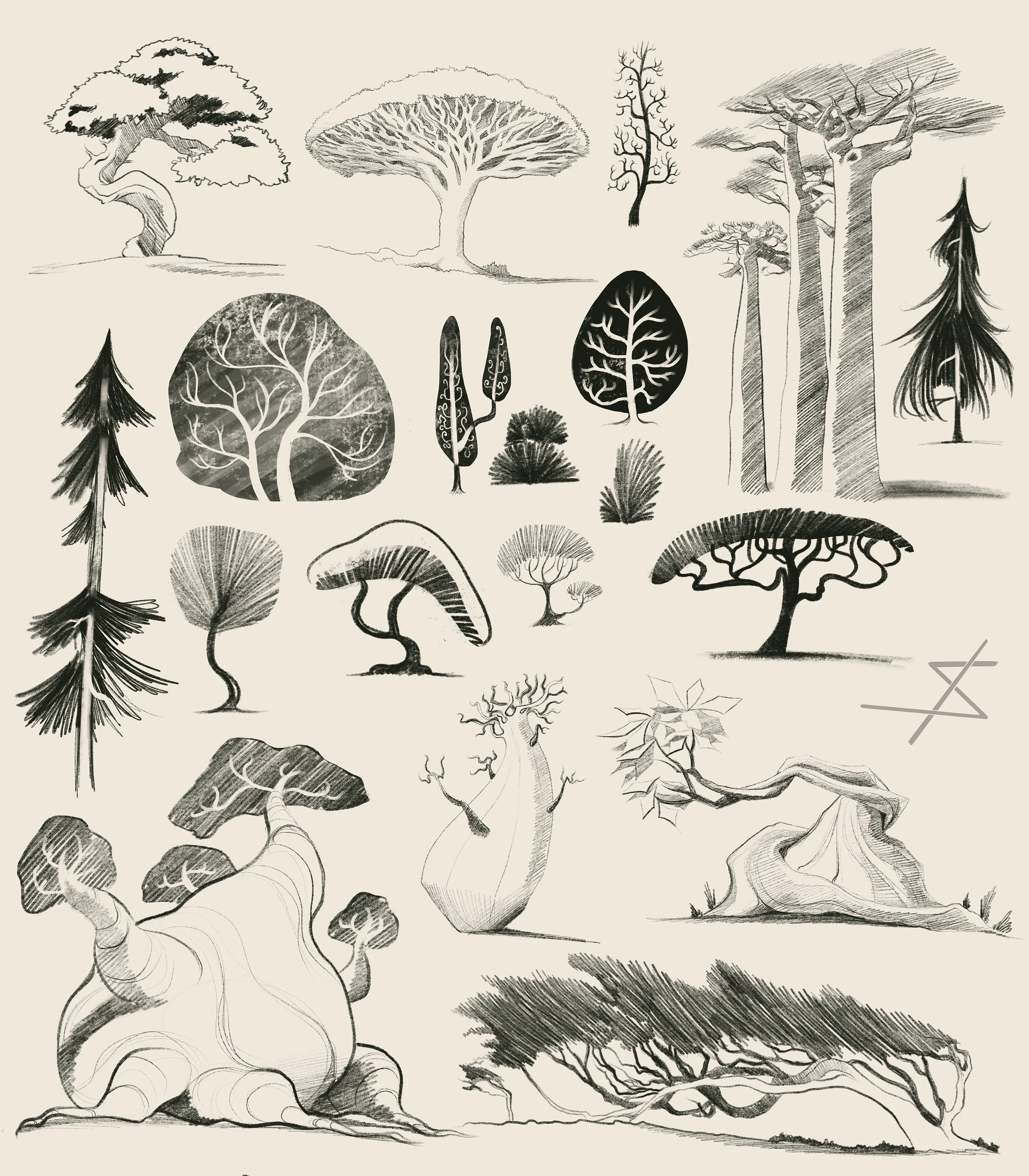 Sampling of my January tree sketches.