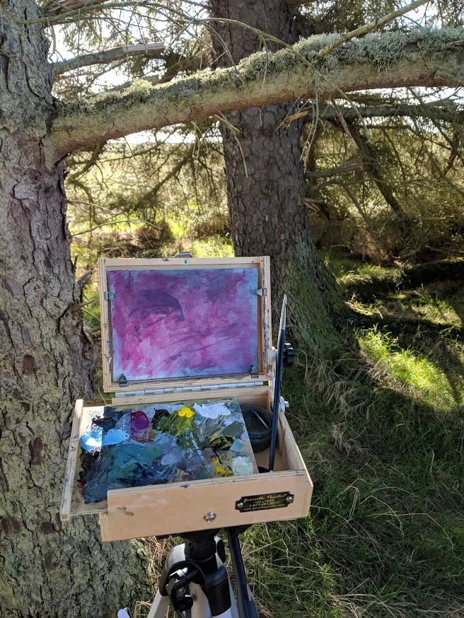 I was painting over an old painting on canvas board, so I just used some thinned down magenta to cover the canvas.