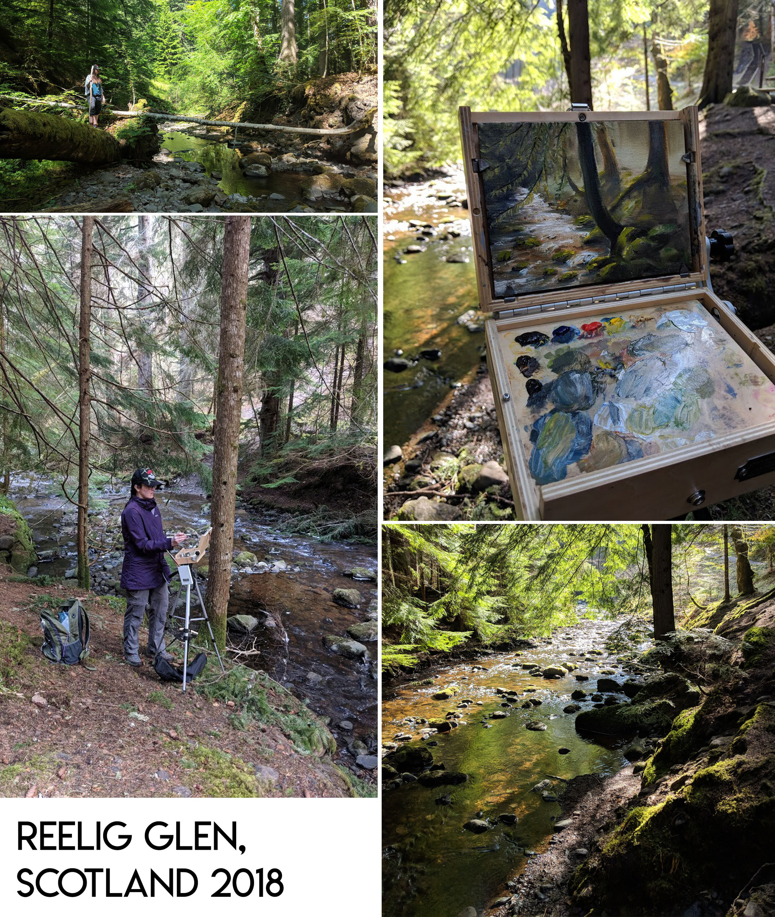 Reelig-Glen-Plein-Air-by-Sarah-Burns.jpg