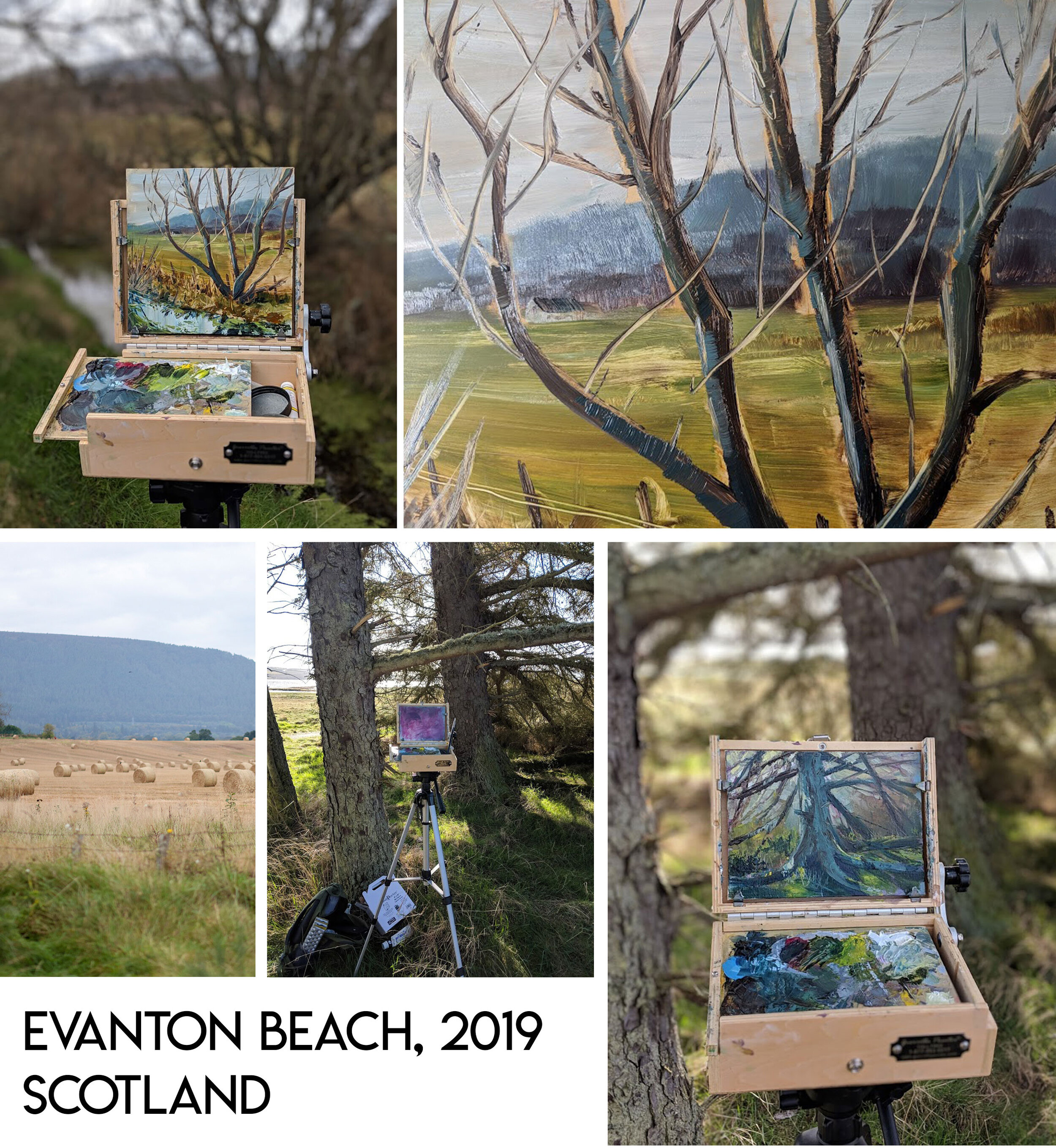 Evanton-Beach-Plein-Air-by-Sarah-Burns.jpg