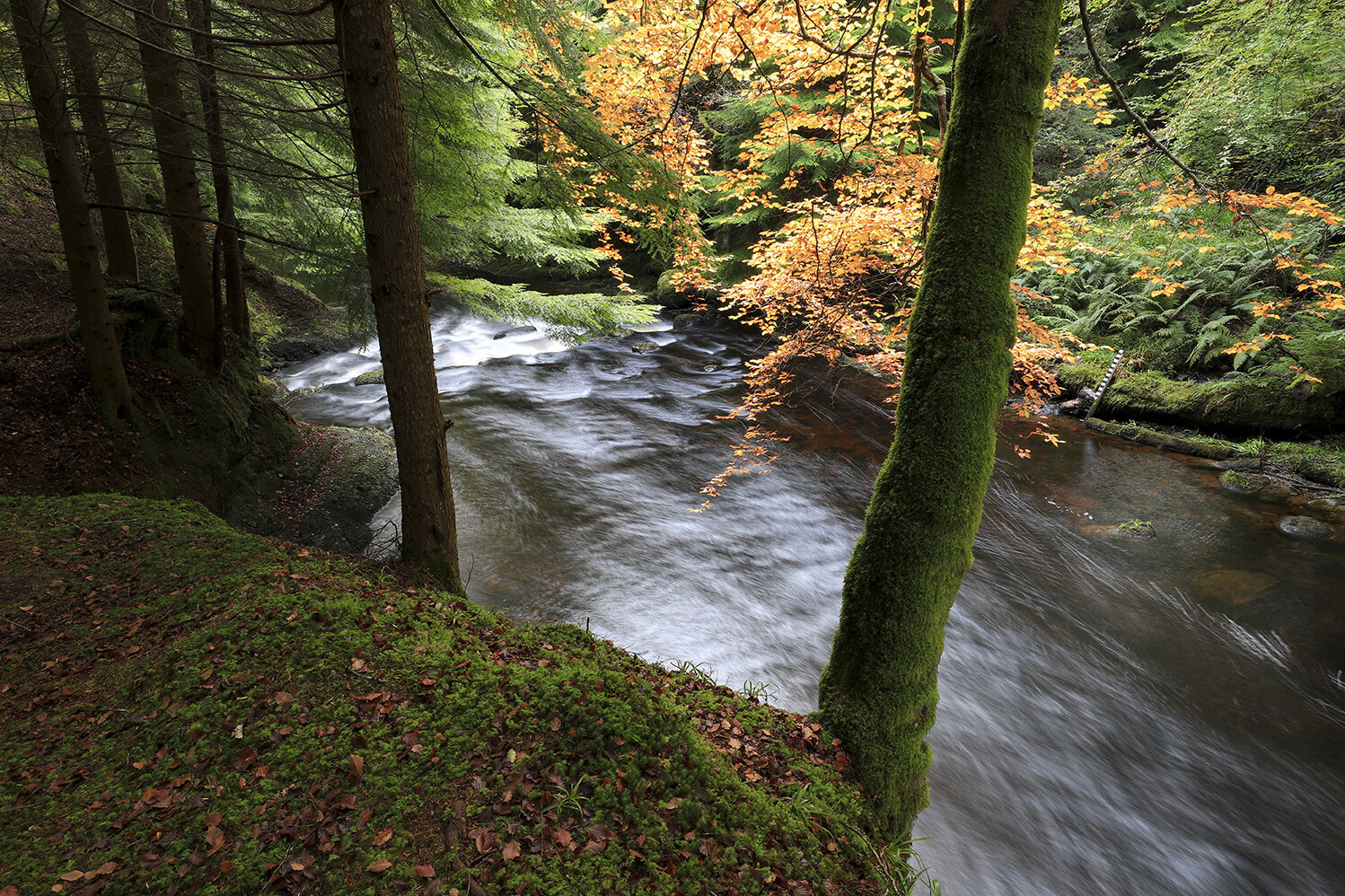 Scotland_2019_1400.jpg